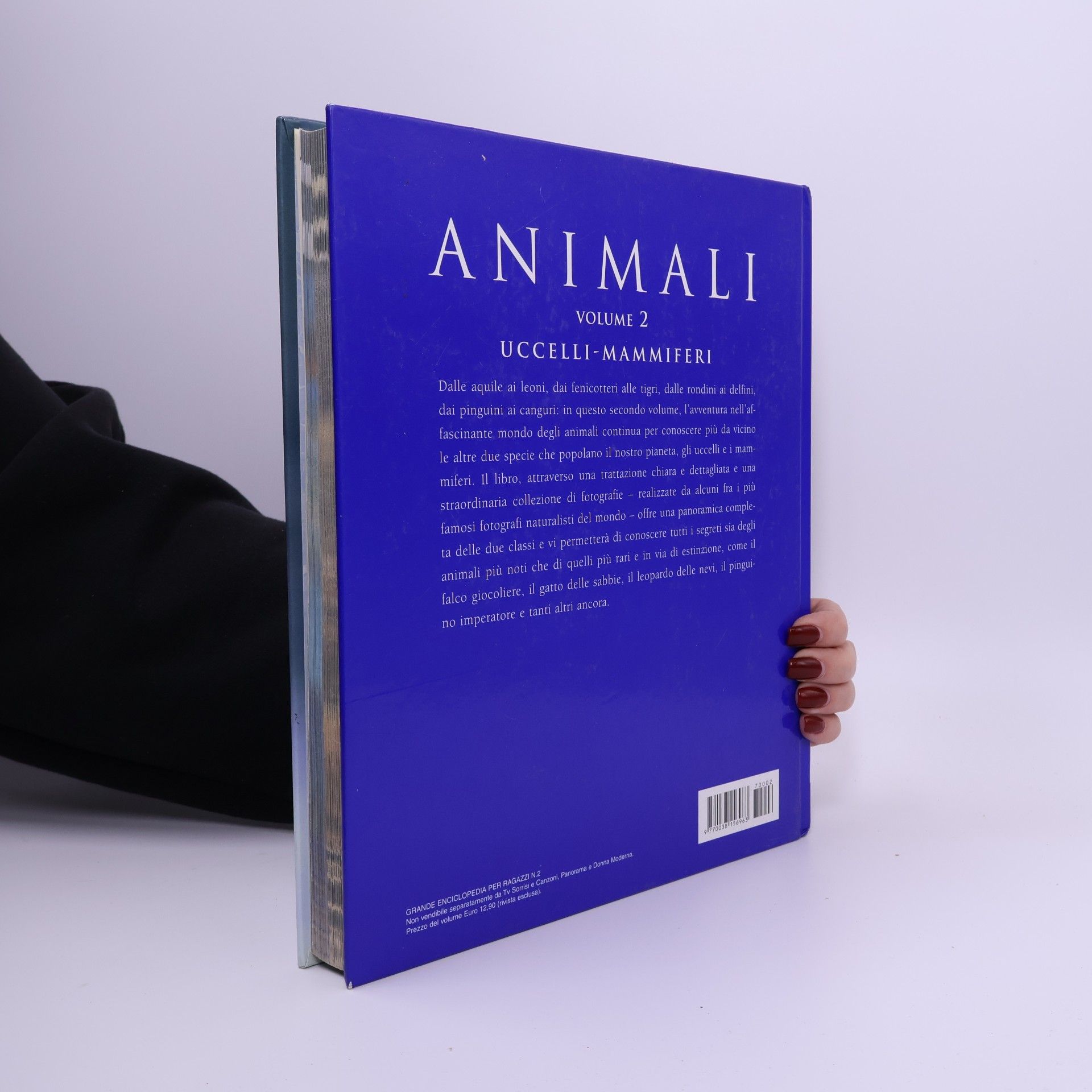 Simonetta Bertoncini ANIMALI 2