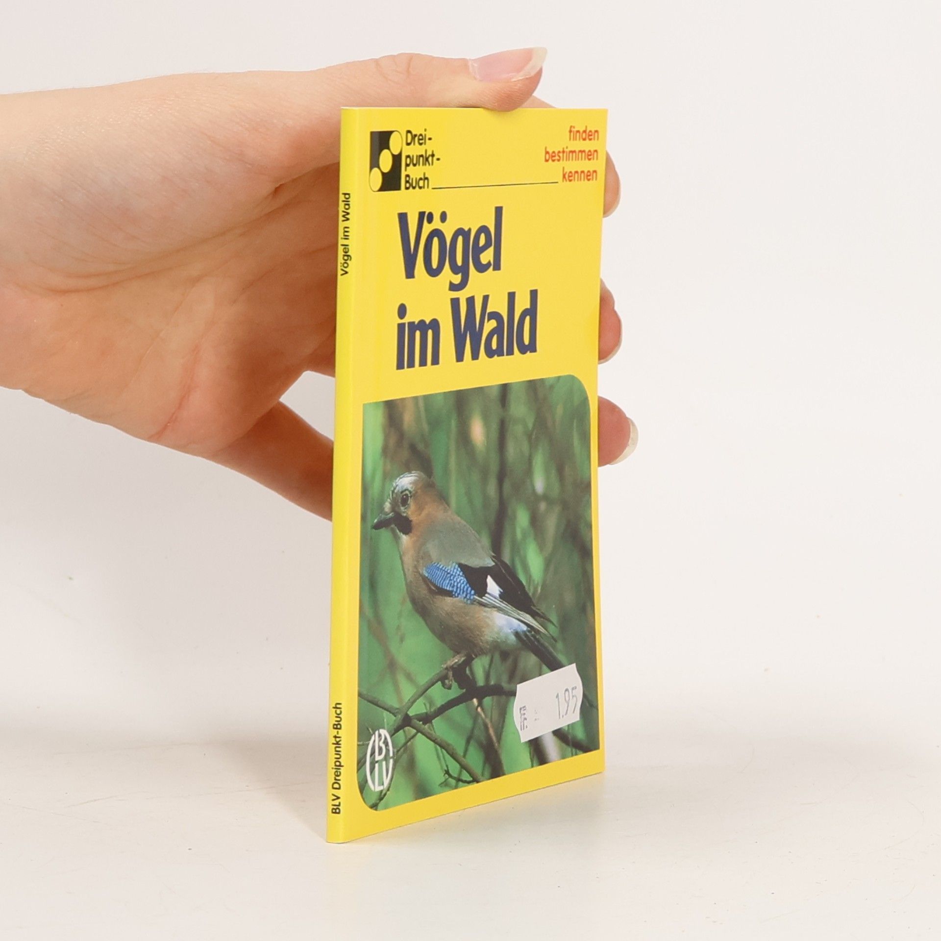 Vögel im Wald