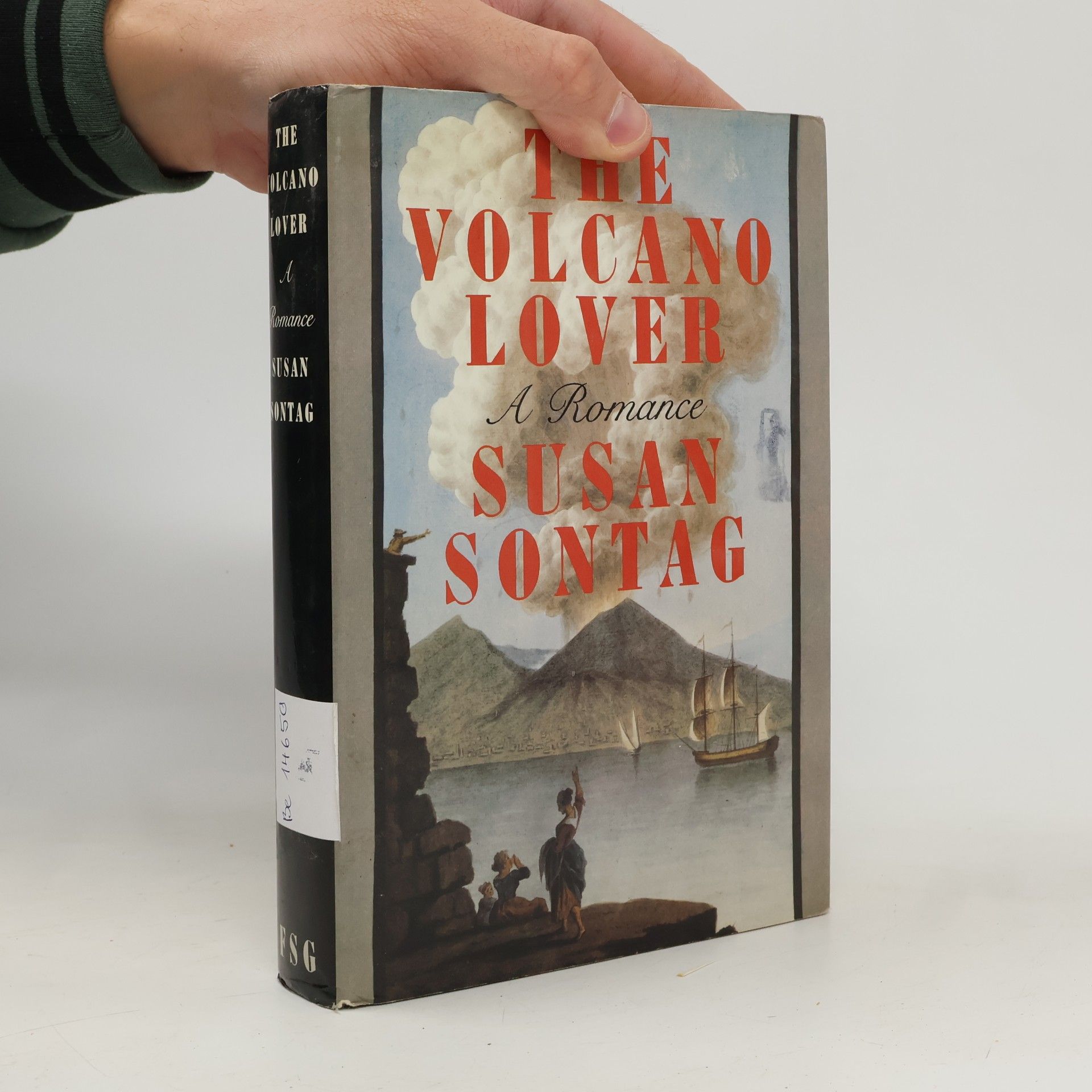 The Volcano Lover