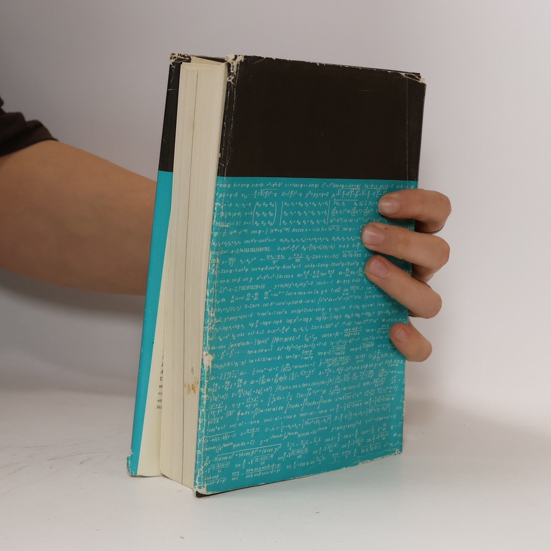 Walter Gellert Kleine Enzyklopädie. Mathematik