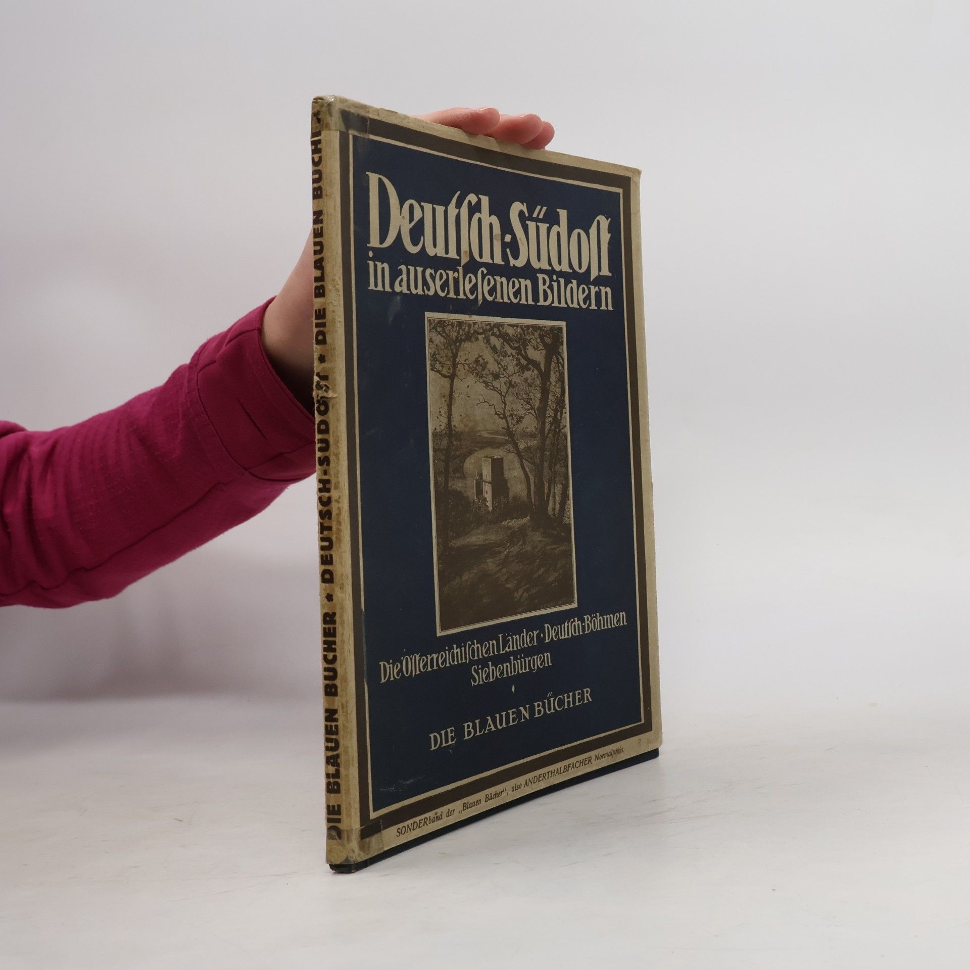 Autorenkollektiv Deutsch Südost in auserlesenen Bildern
