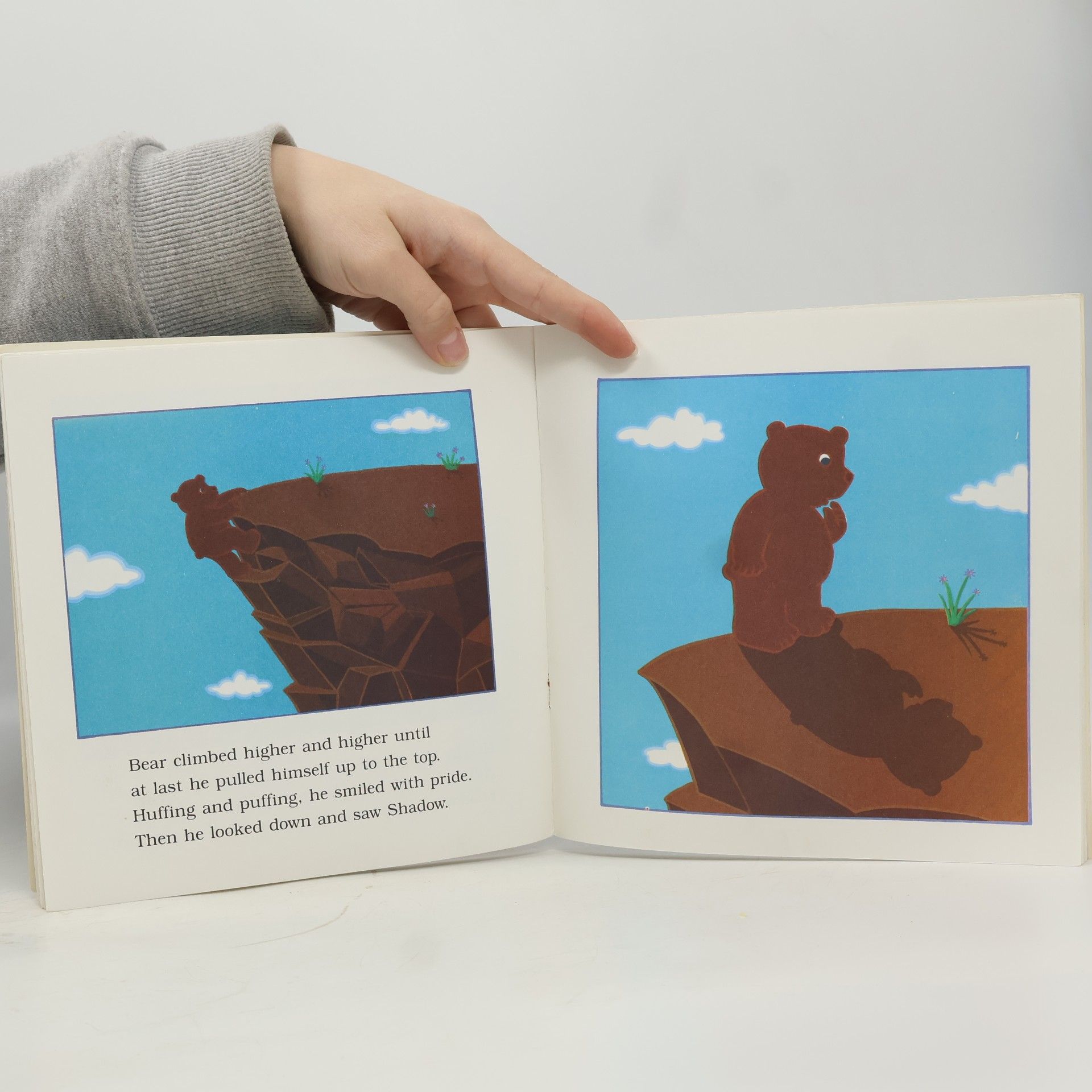 Frank Asch Bear shadow