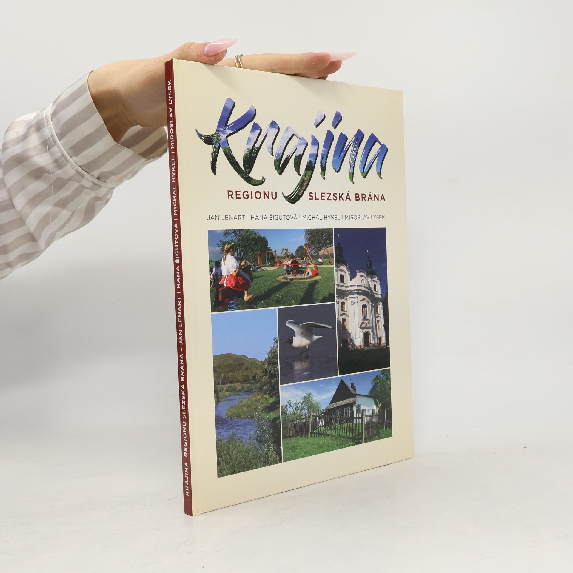 Krajina regionu Slezská brána