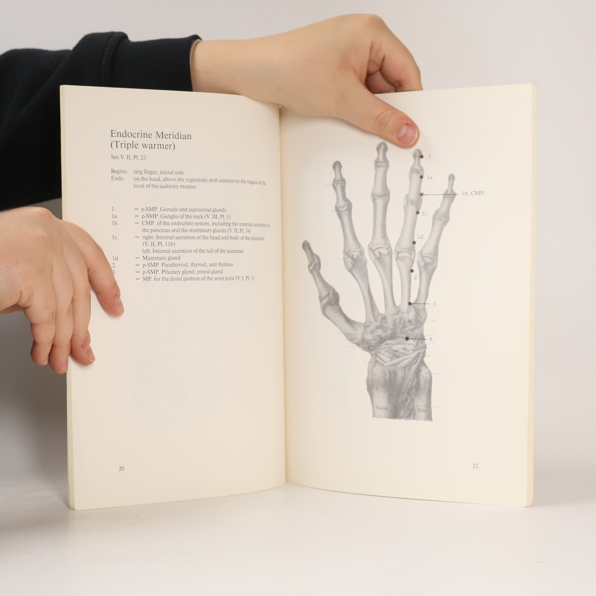 Reinhold Voll Measurement points of the electroacupuncture according to Voll on the hands and feet