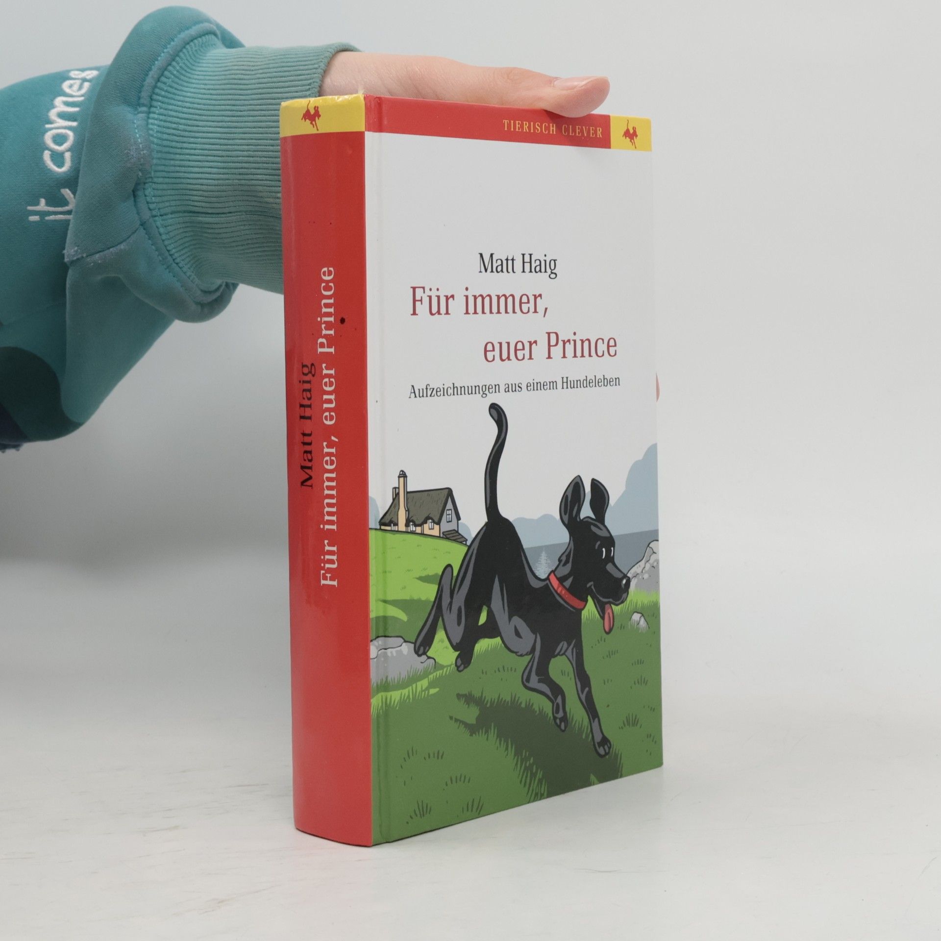 Matt Haig Für immer, euer Prince