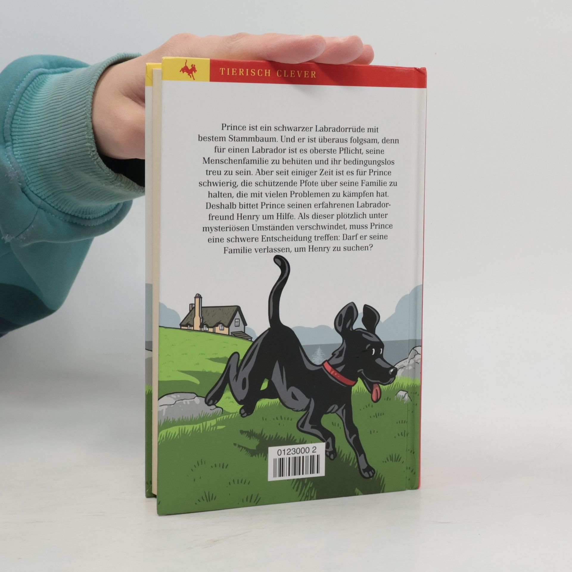 Matt Haig Für immer, euer Prince
