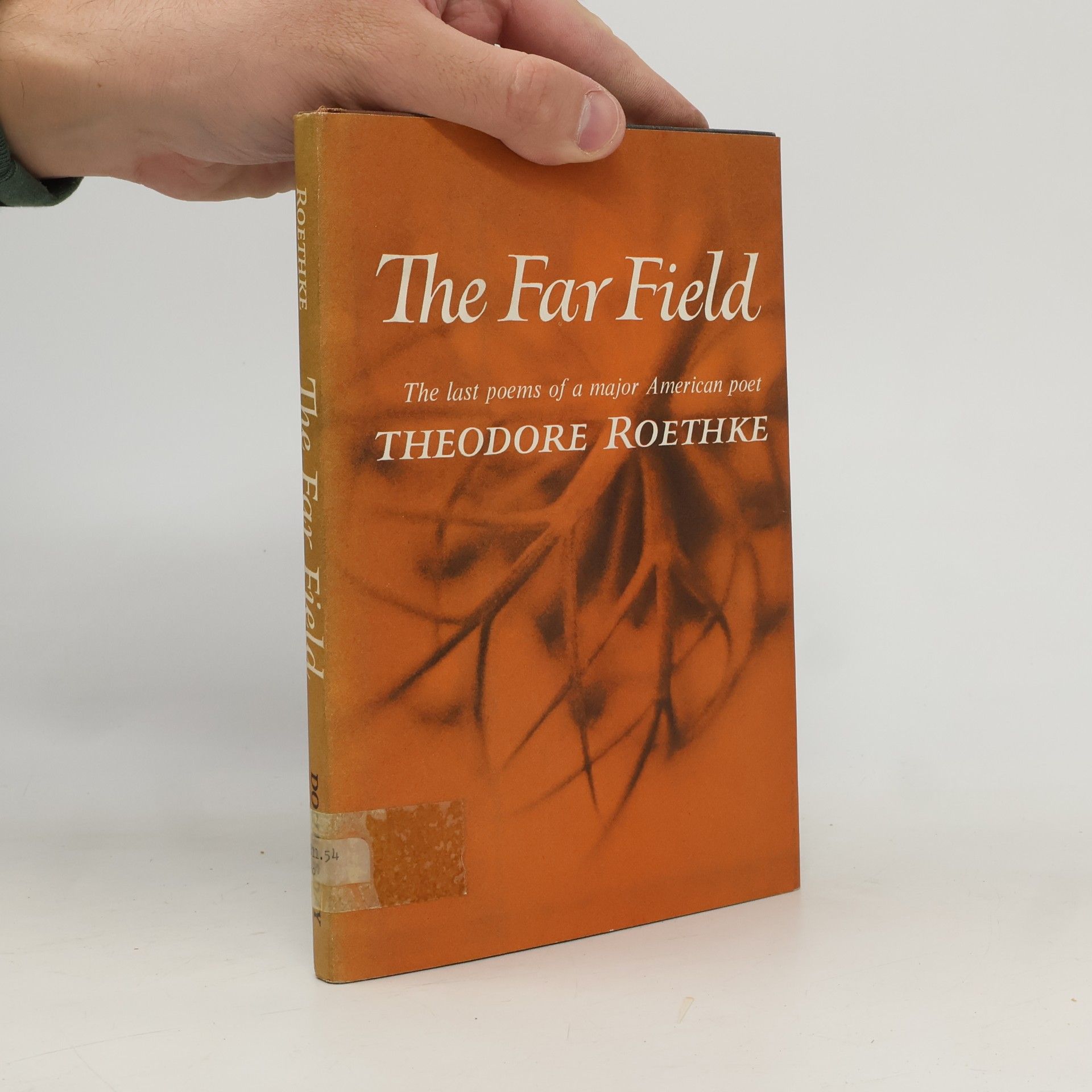 Theodore Roethke The Far Field