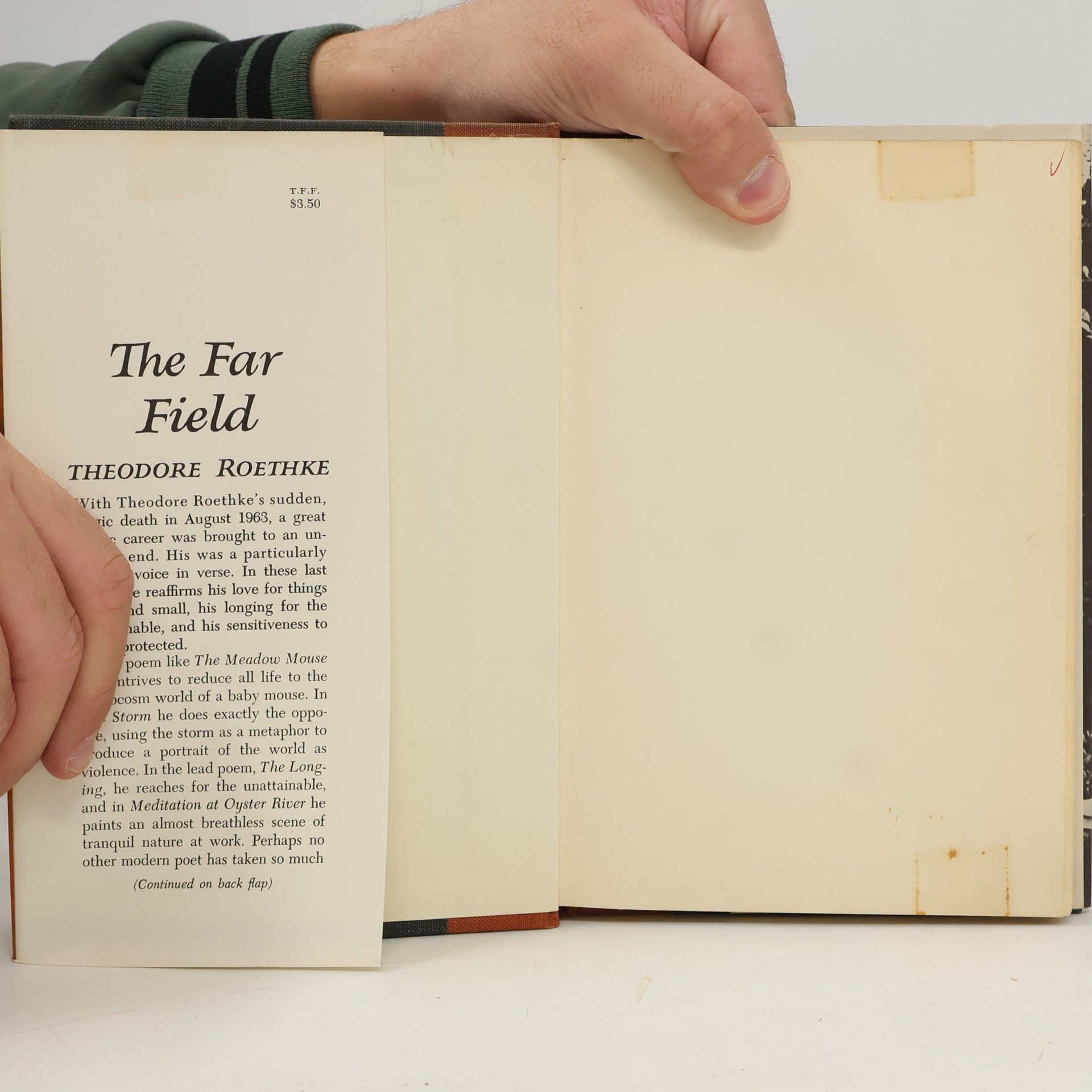 Theodore Roethke The Far Field