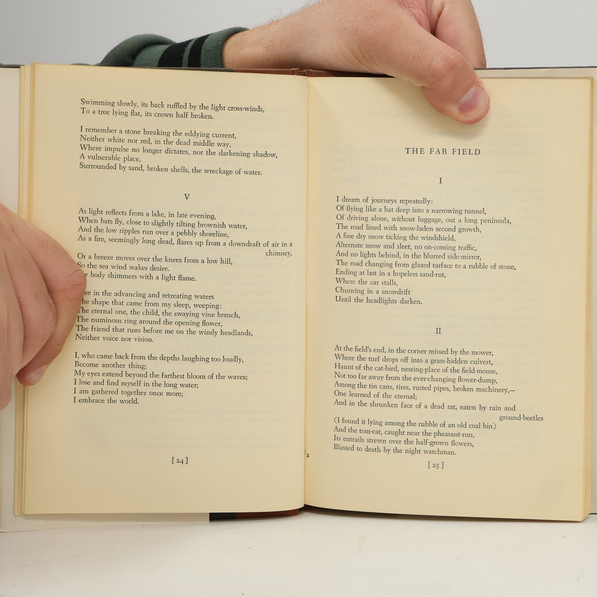 Theodore Roethke The Far Field