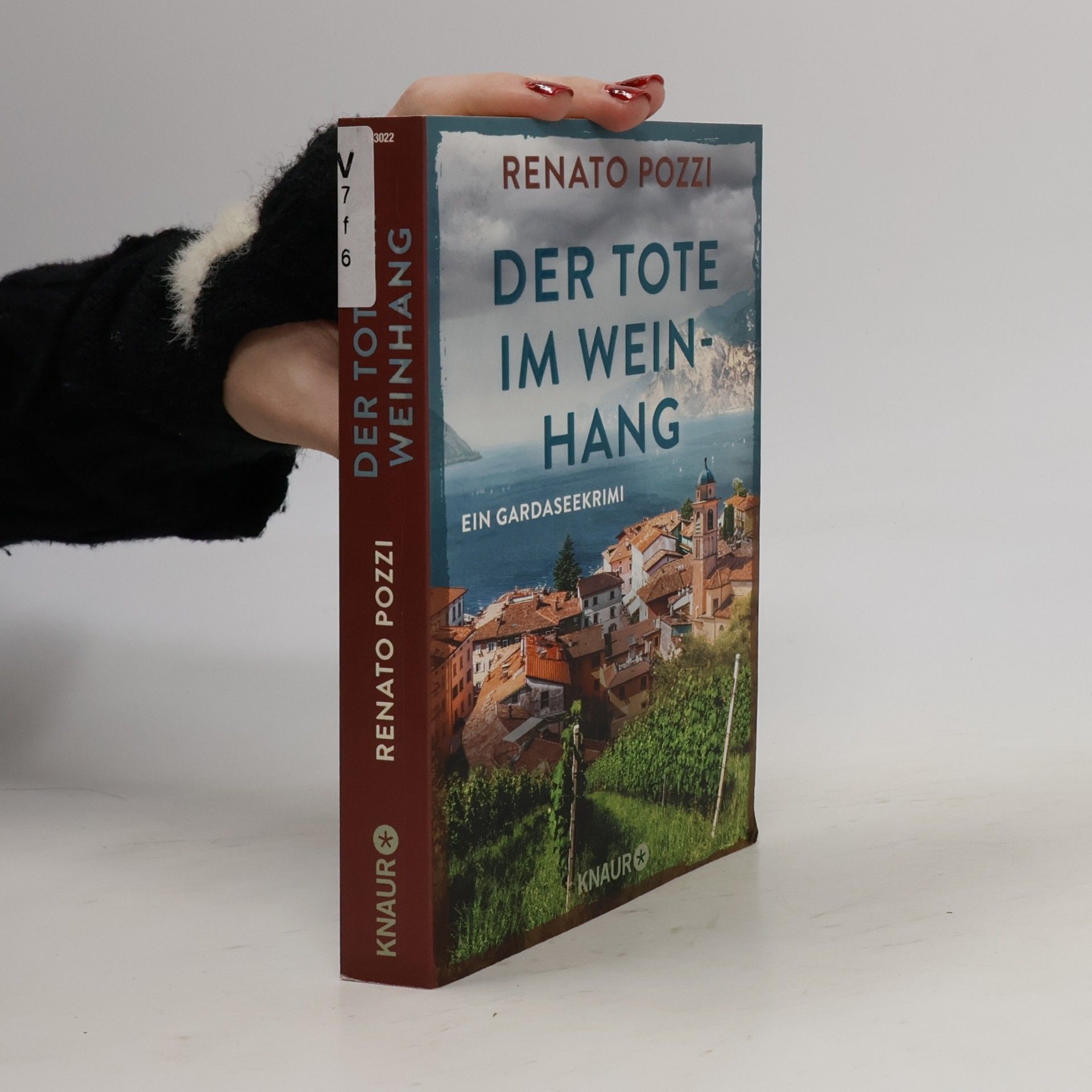 Der Tote im Weinhang