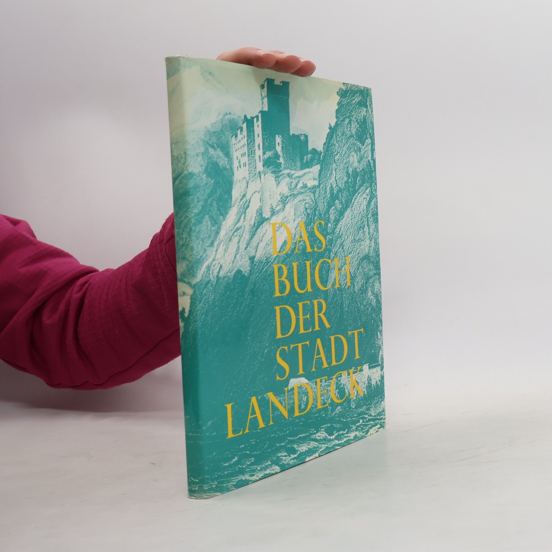 Autores varios Das Buch der Stadt Landeck