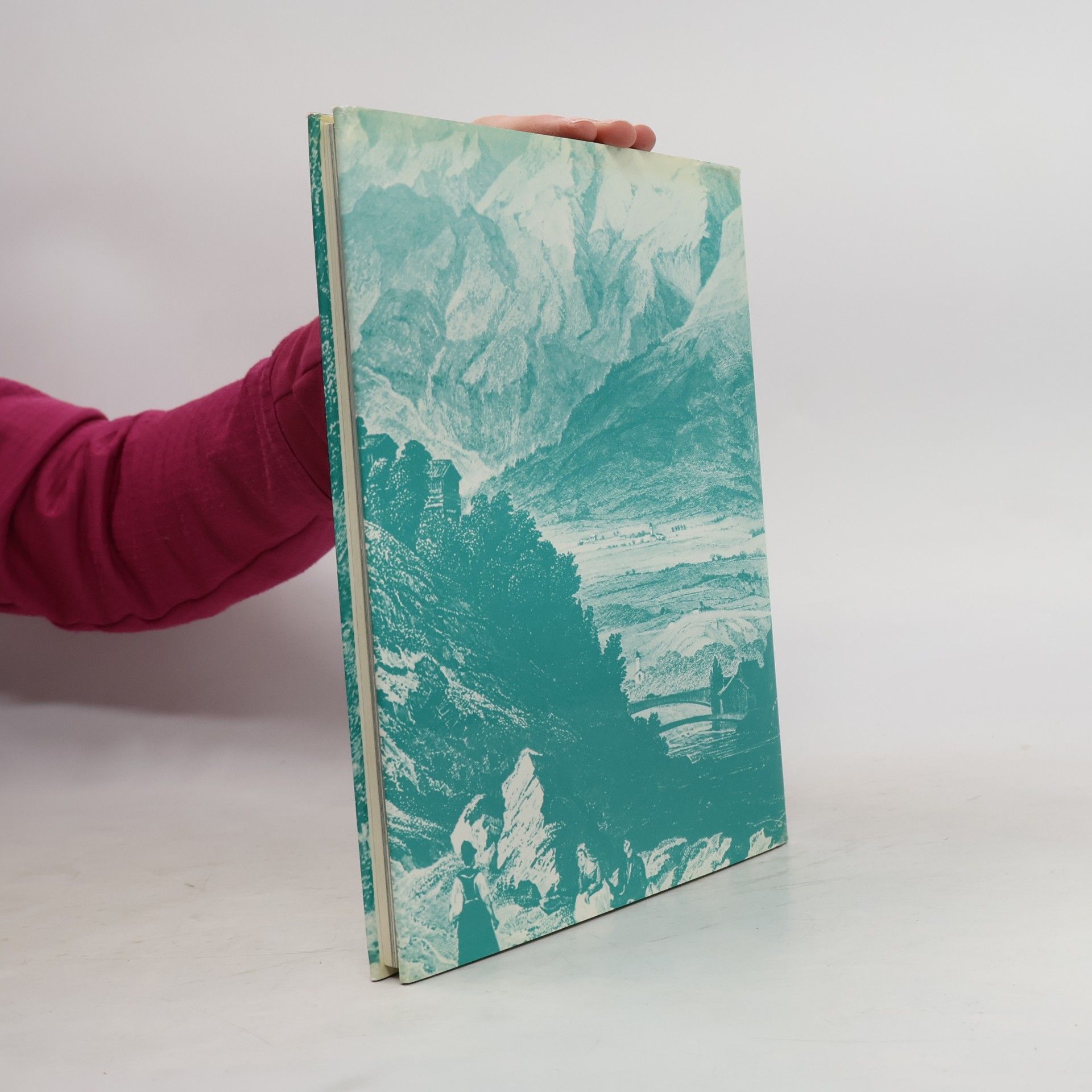 Autores varios Das Buch der Stadt Landeck
