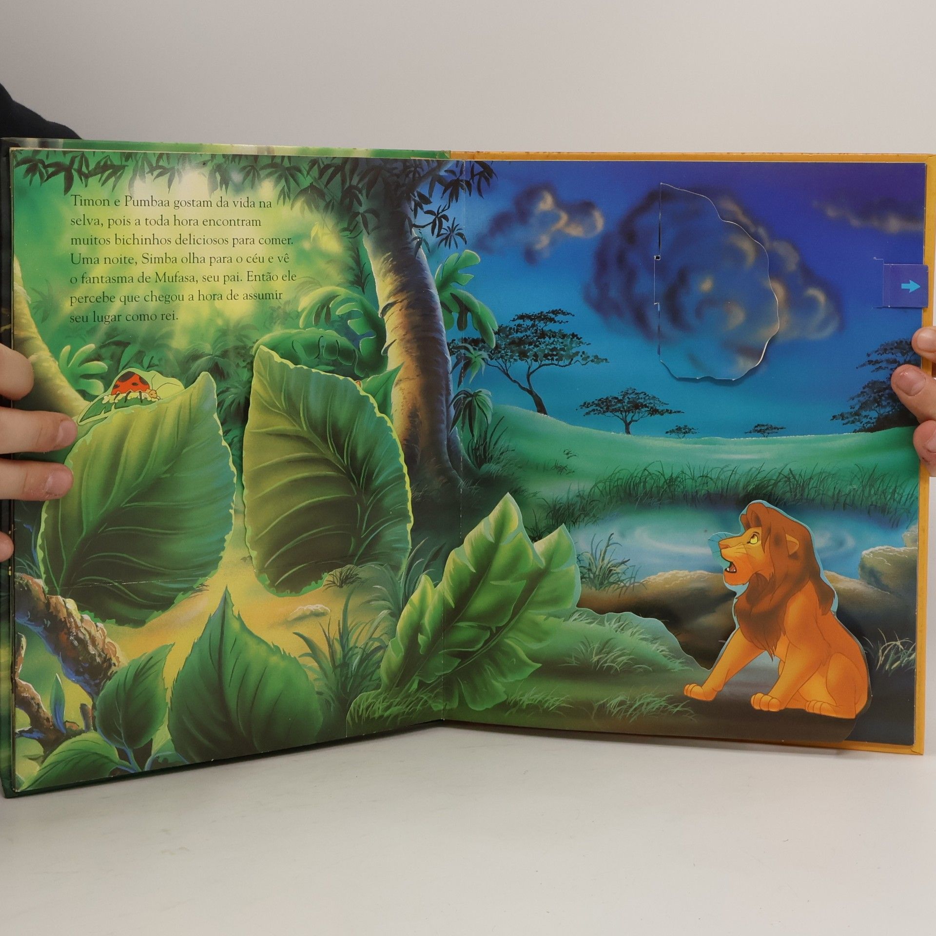 Autores varios O Rei Leão