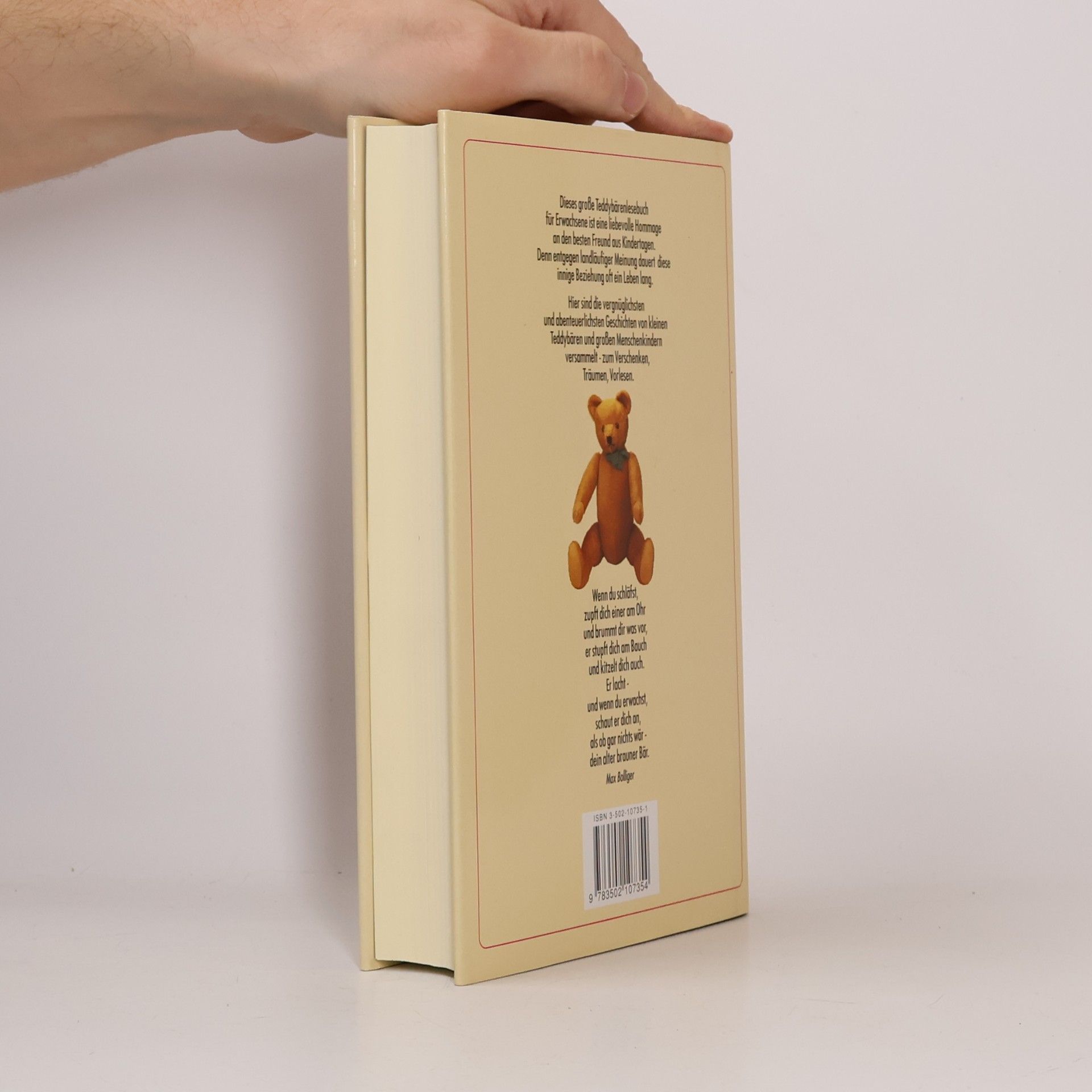 Das Teddybären-Buch