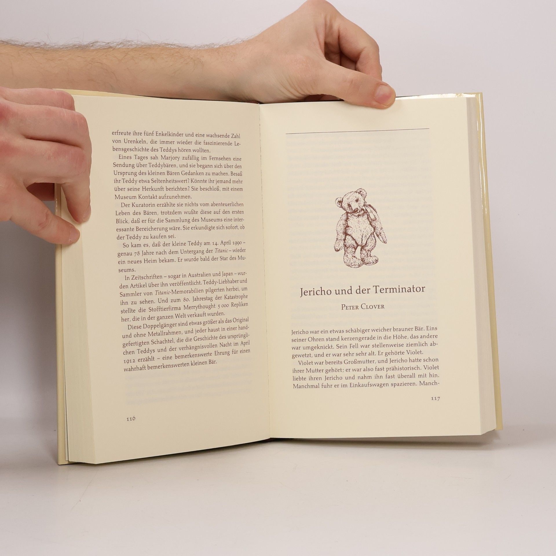 Das Teddybären-Buch