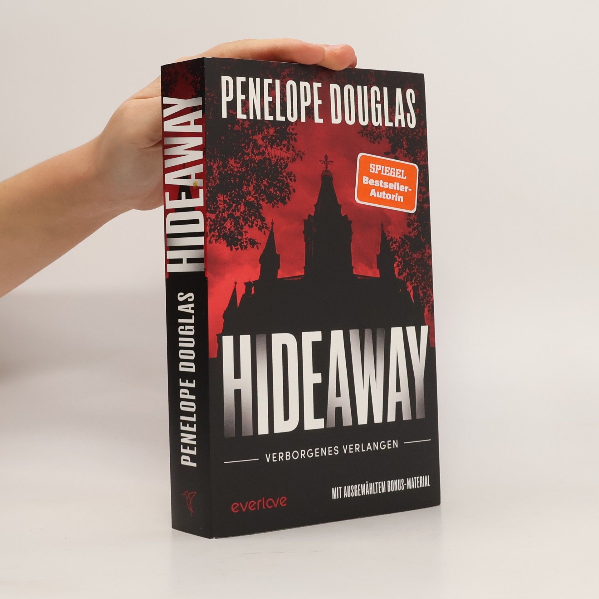 Hideaway - Verborgenes Verlangen / Devil’s Night Bd.2