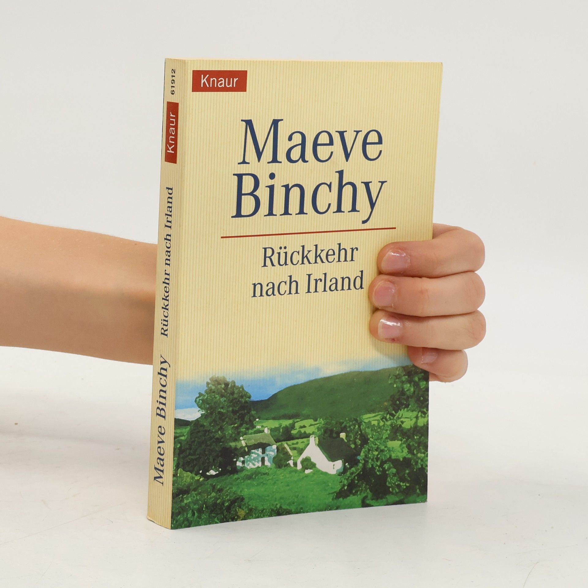 Rückkehr nach Irland