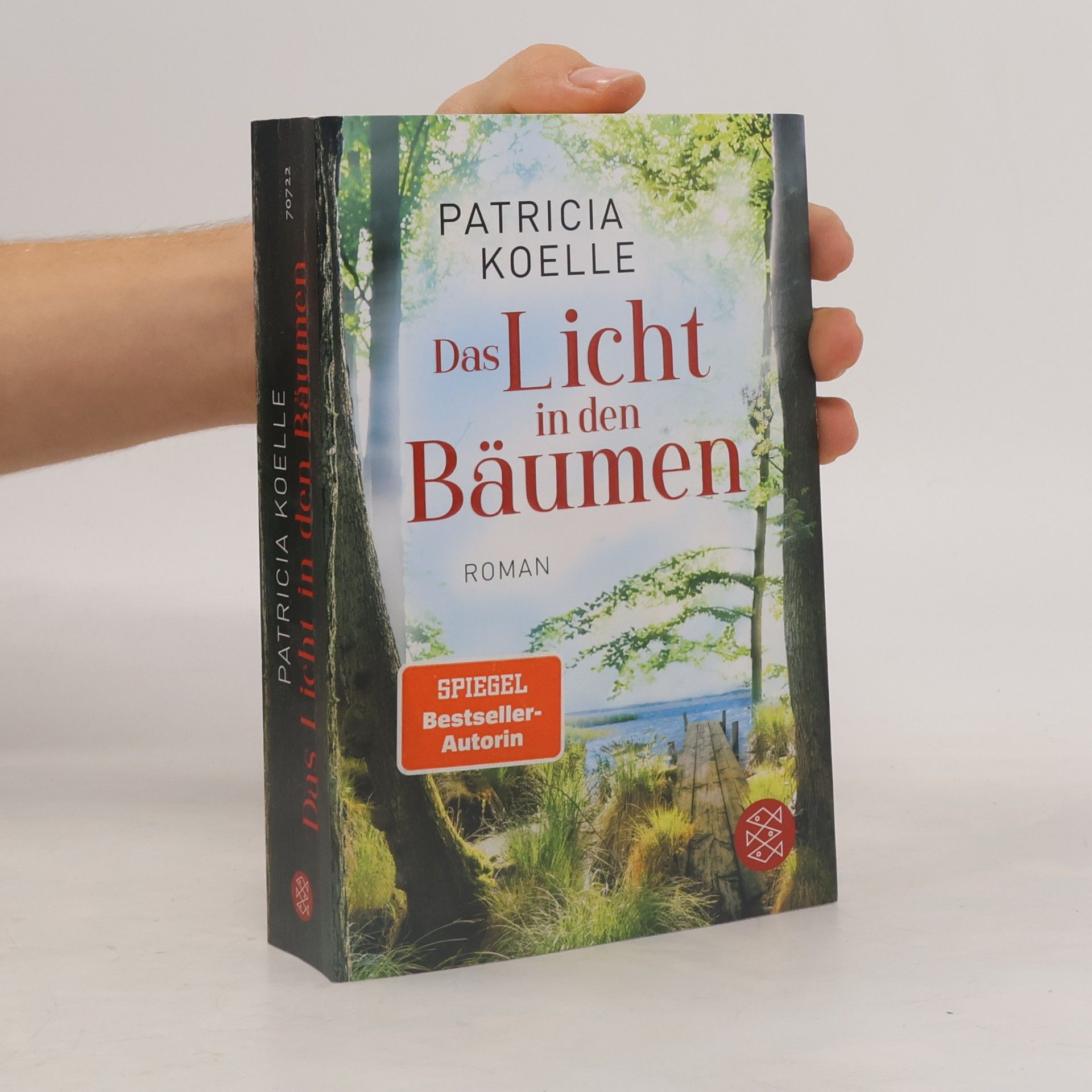 Das Licht in den Bäumen