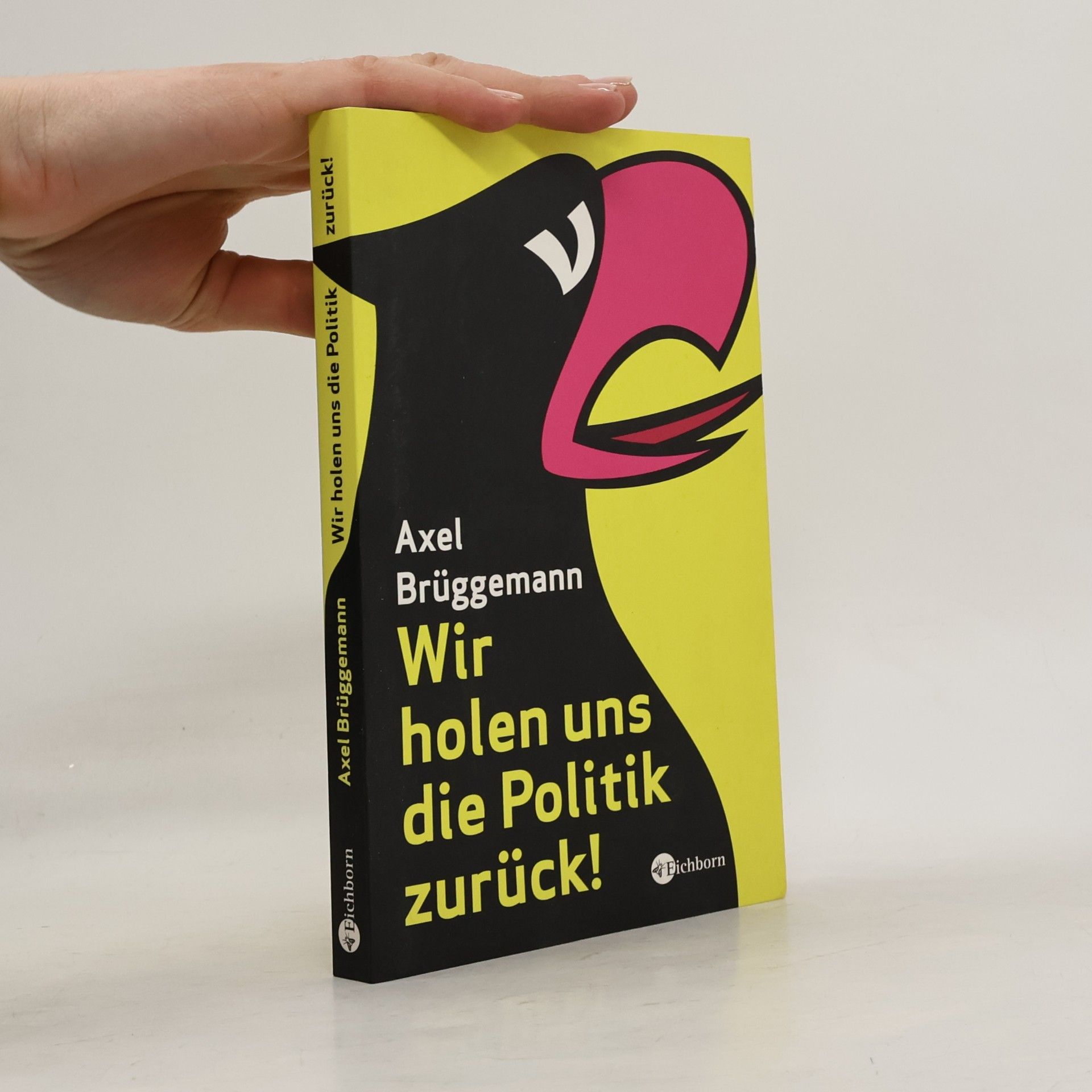 Axel Brüggemann Wir holen uns die Politik zurück!