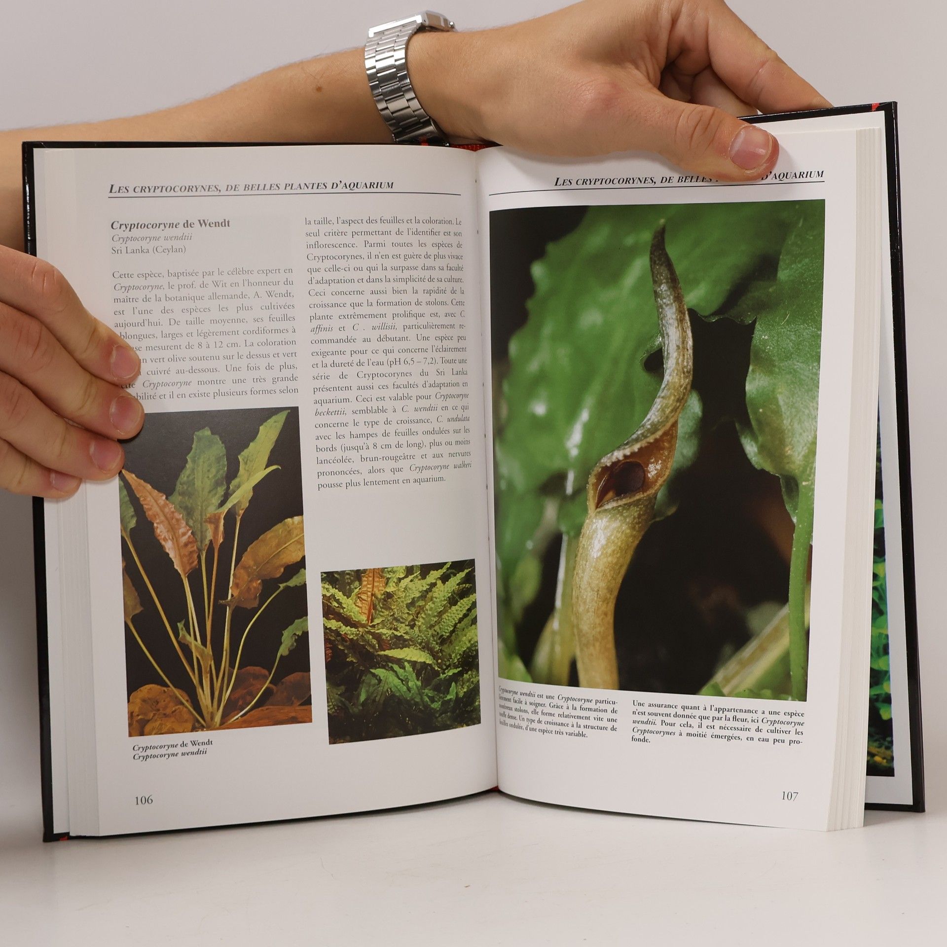 Gerhard Brünner Guide pratique des plantes aquatiques