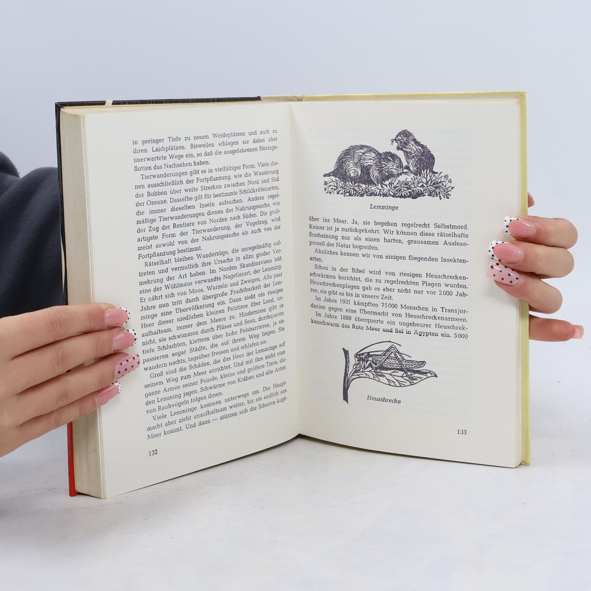 Wilfried Reinehr Wunderwelt der Natur