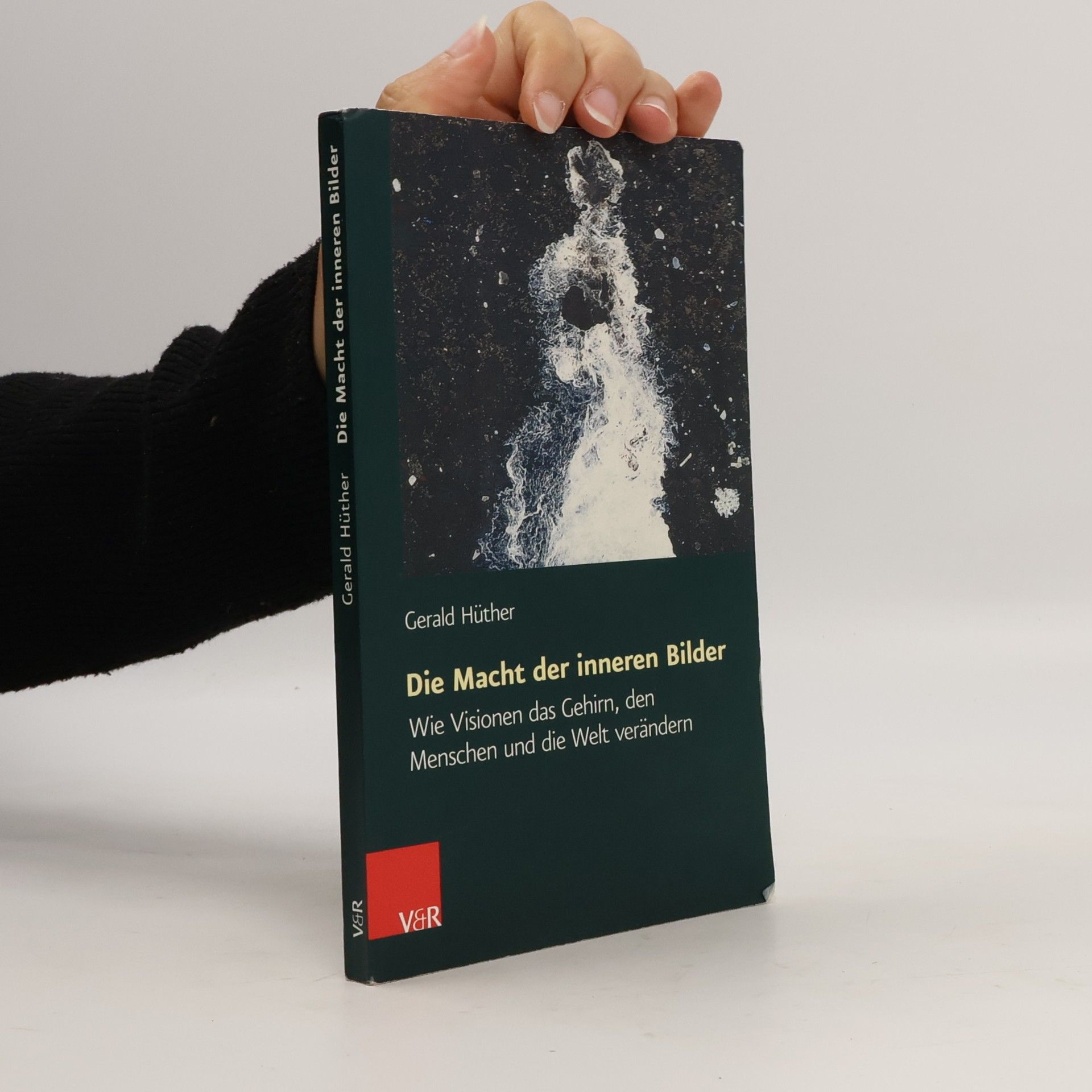 Gerald Hüther Die Macht der inneren Bilder