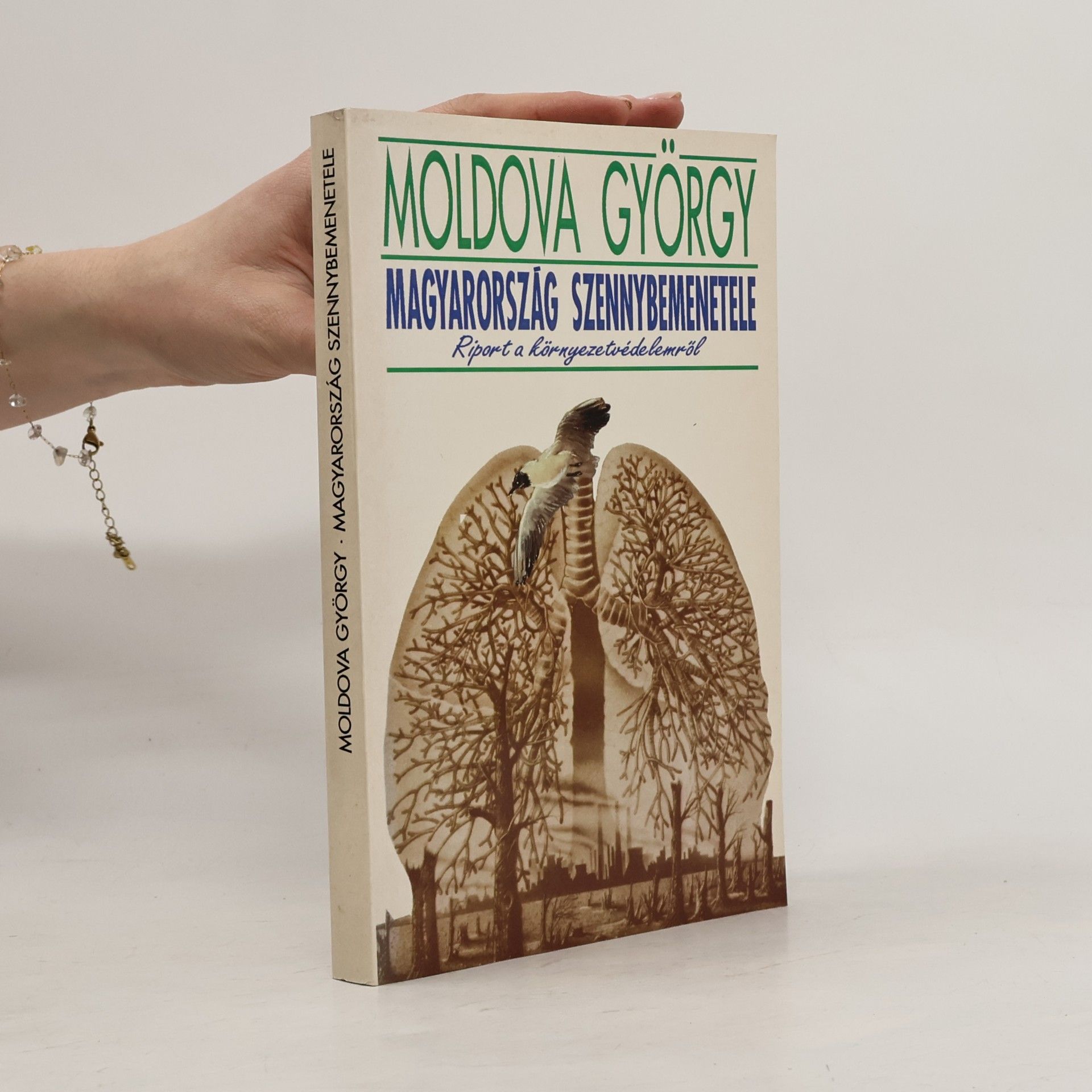 Moldova György Magyarország szennybemenetele
