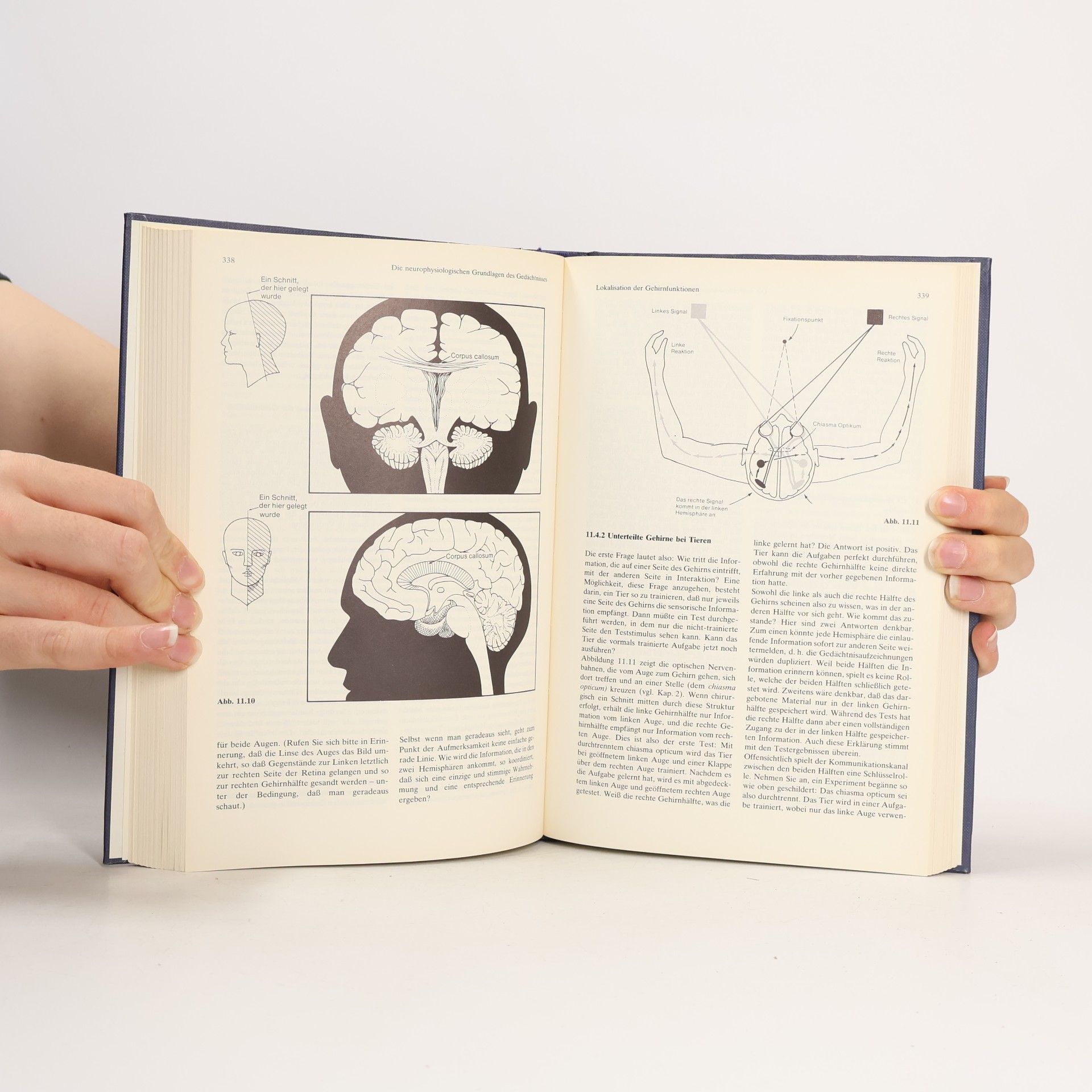 Donald A. Norman Einführung in die Psychologie. Informationsaufnahme und - Verarbeitung beim Menschen.