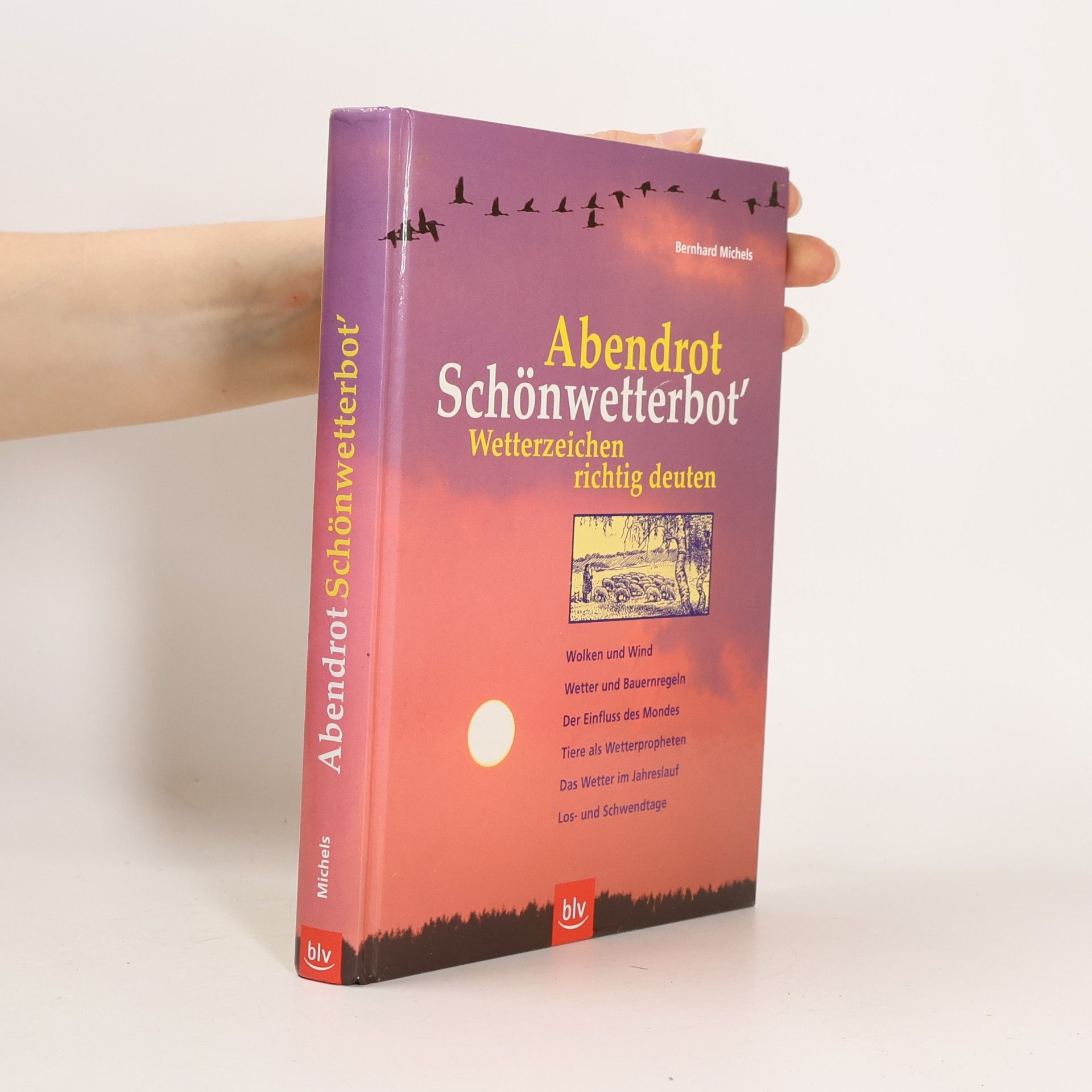 Abendrot Schönwetterbot'