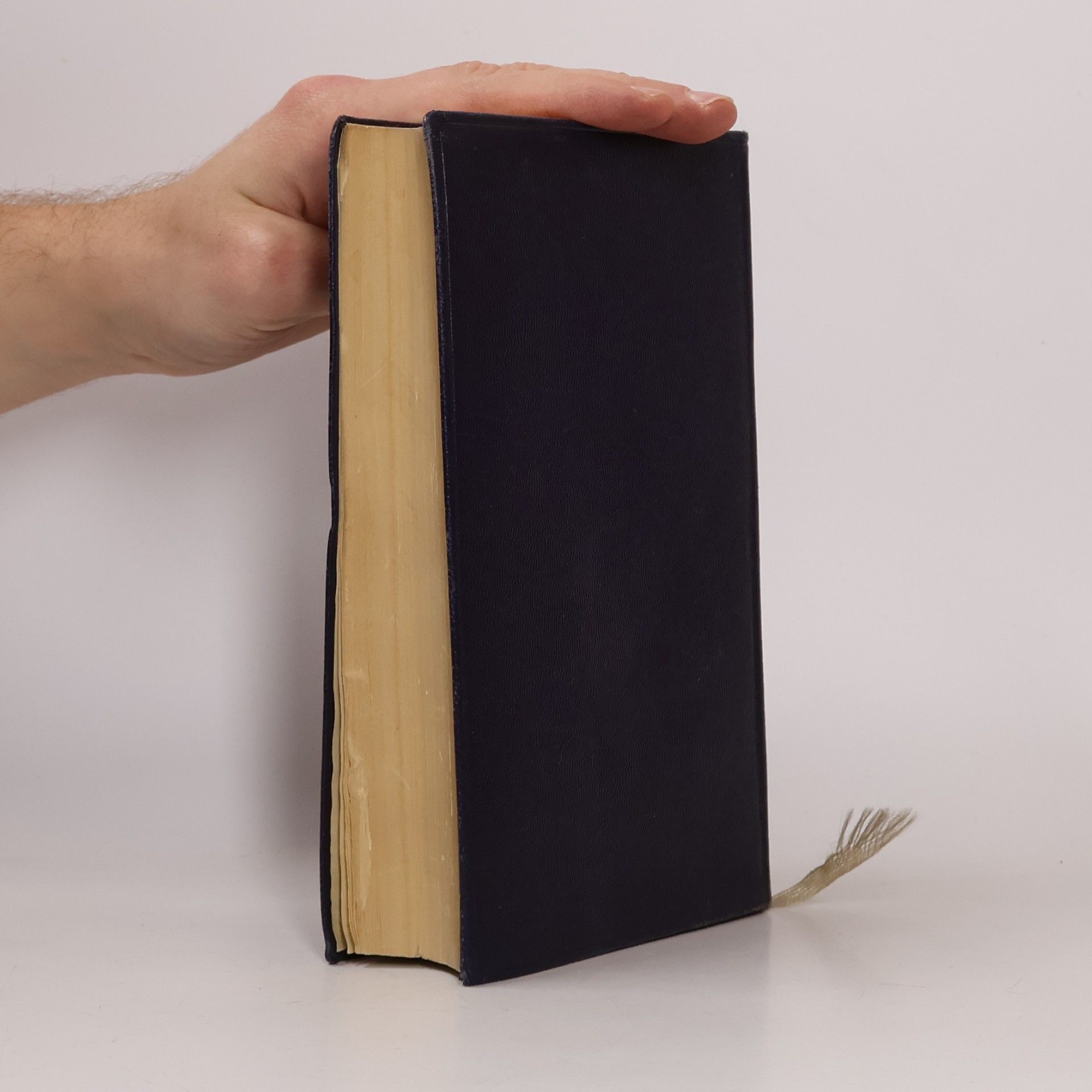 Wilhelm Scherer Geschichte der Deutschen Literatur