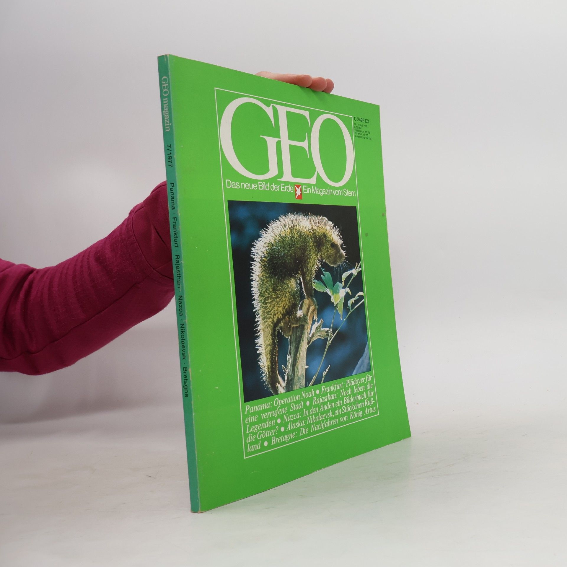 GEO 7