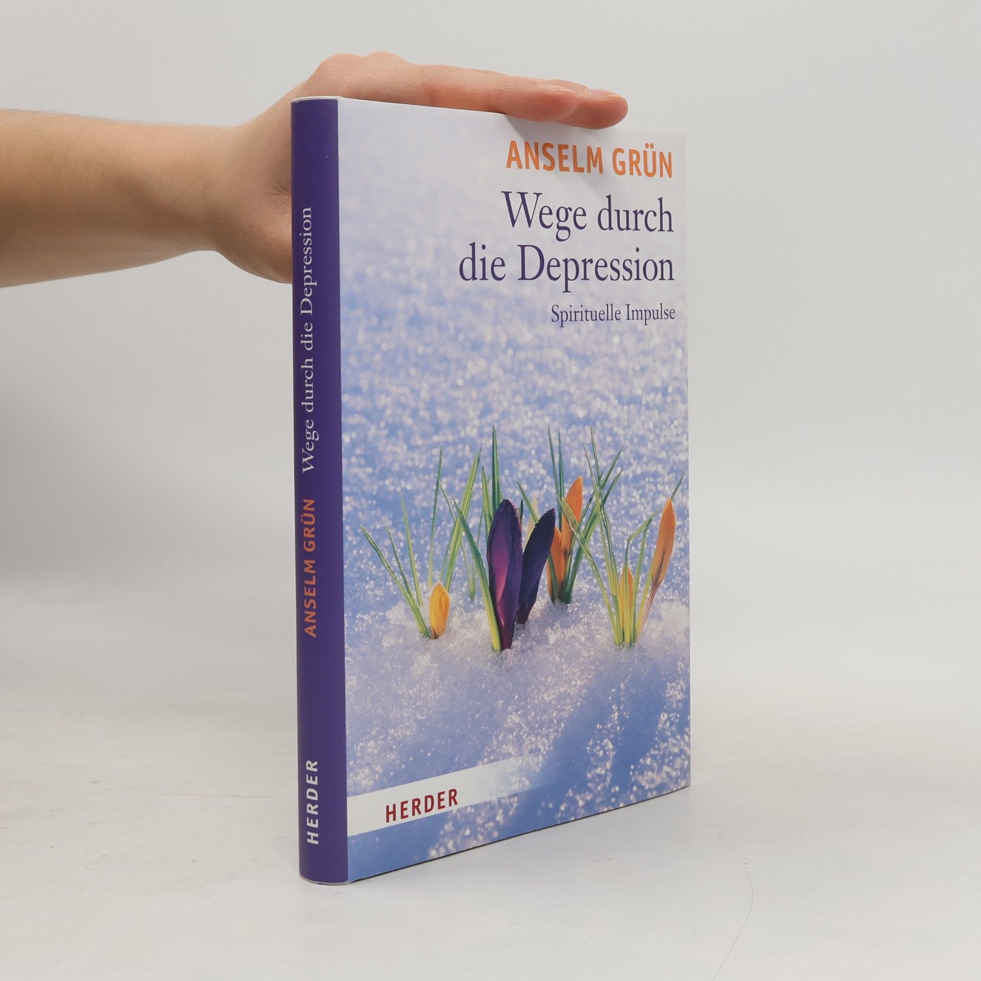 Wege durch die Depression