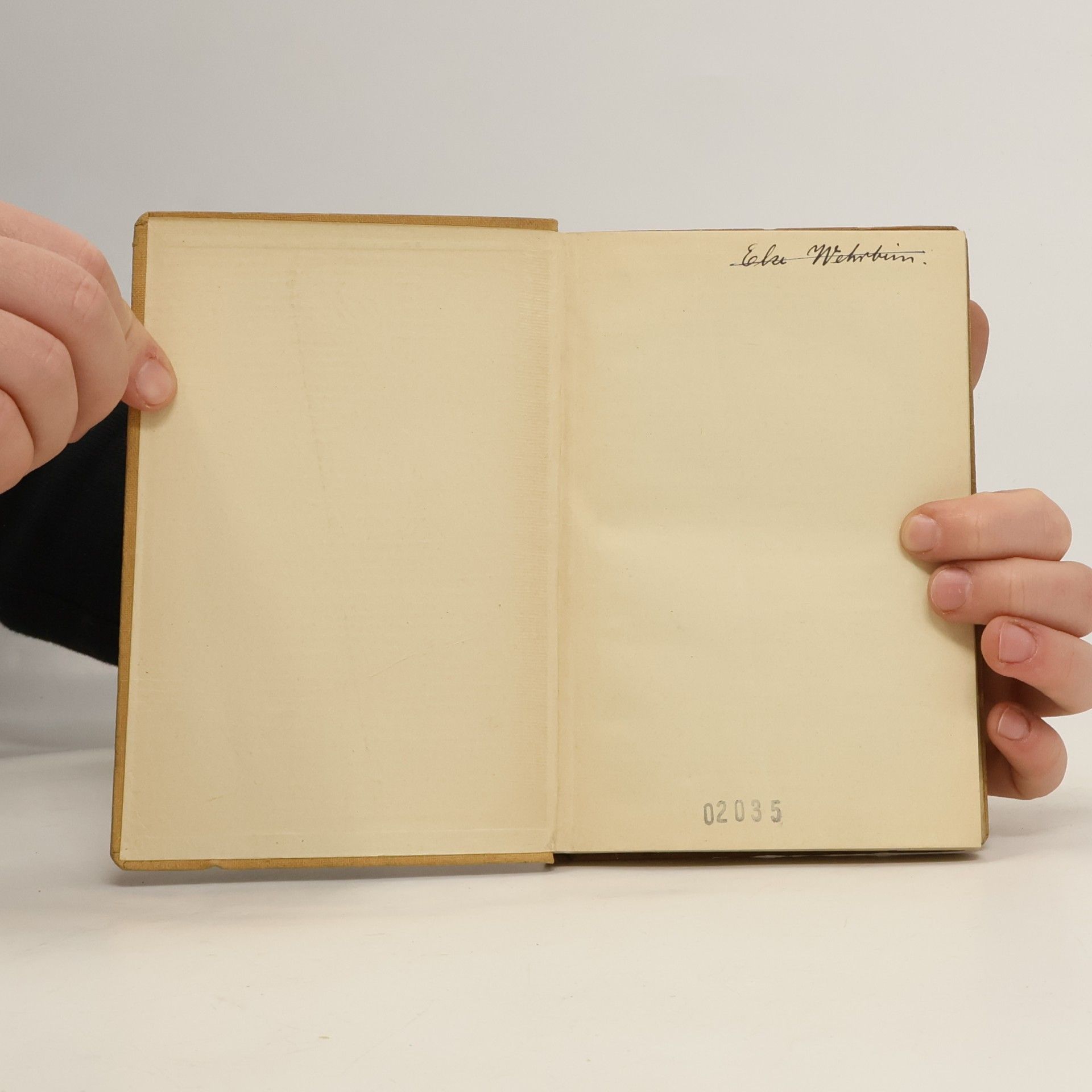 Wolfgang Golther Der Nibelunge Nôt I