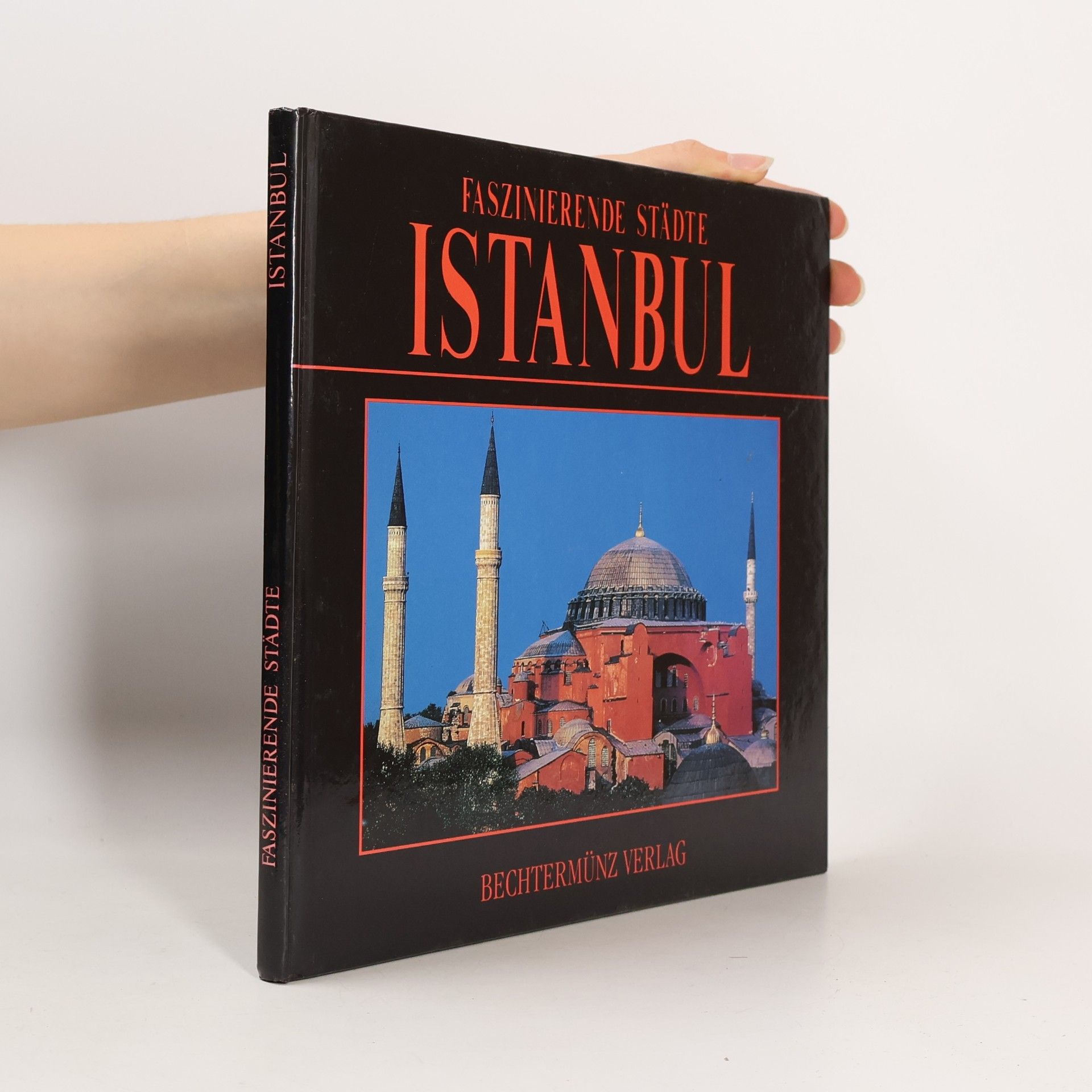 Faszinierende Städte. Istanbul