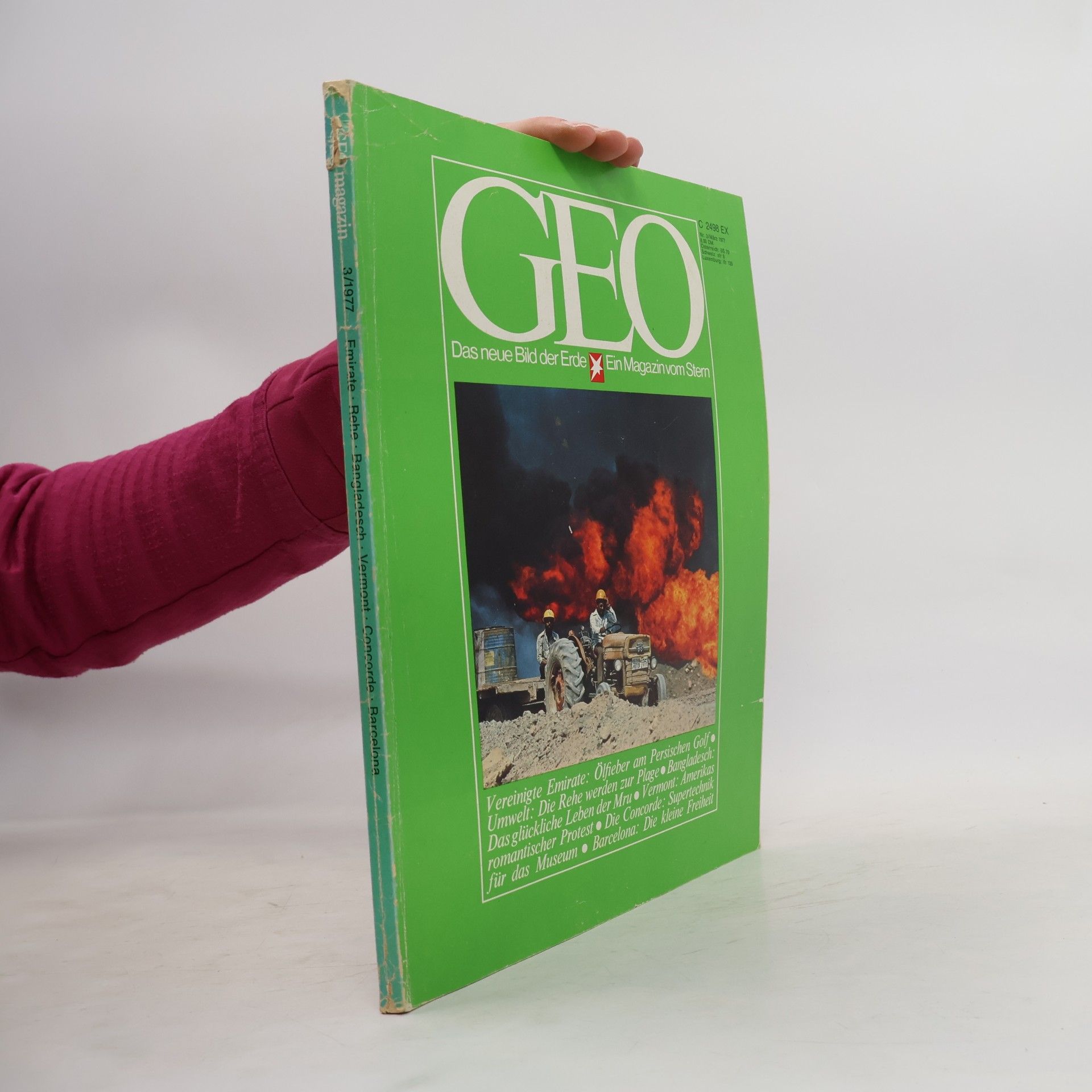 GEO 3
