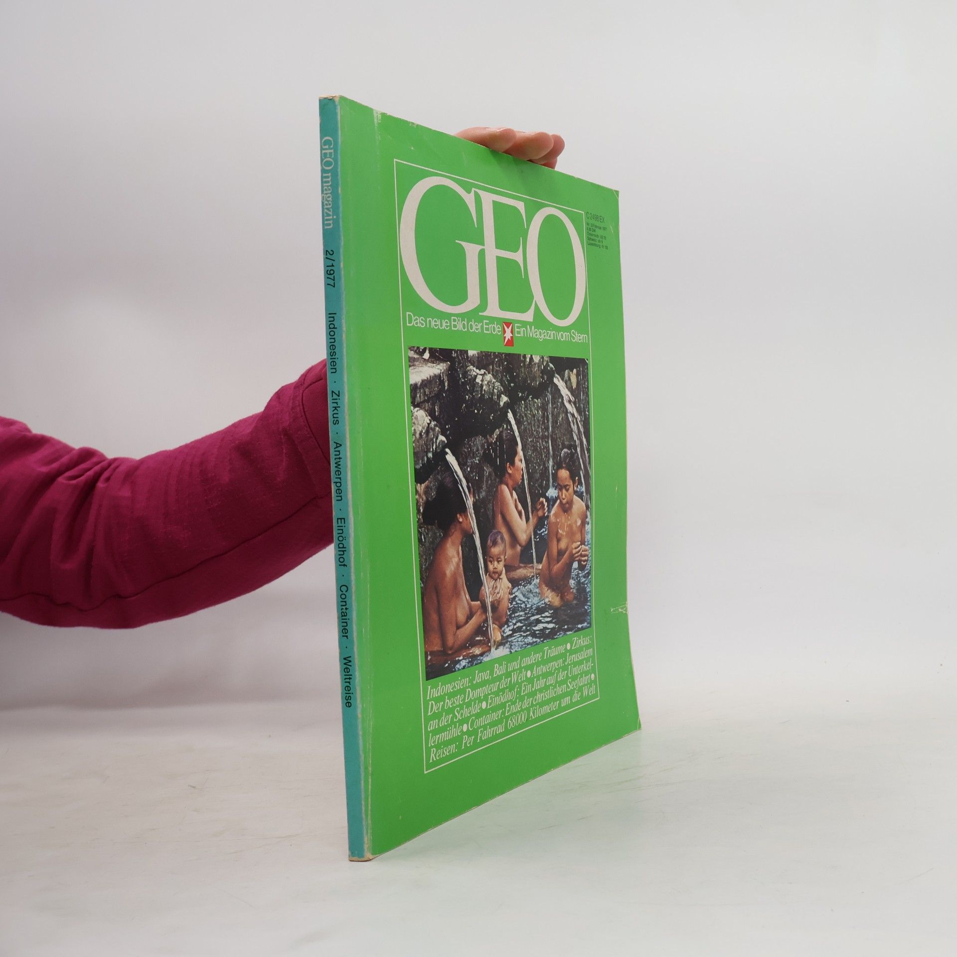 GEO 2