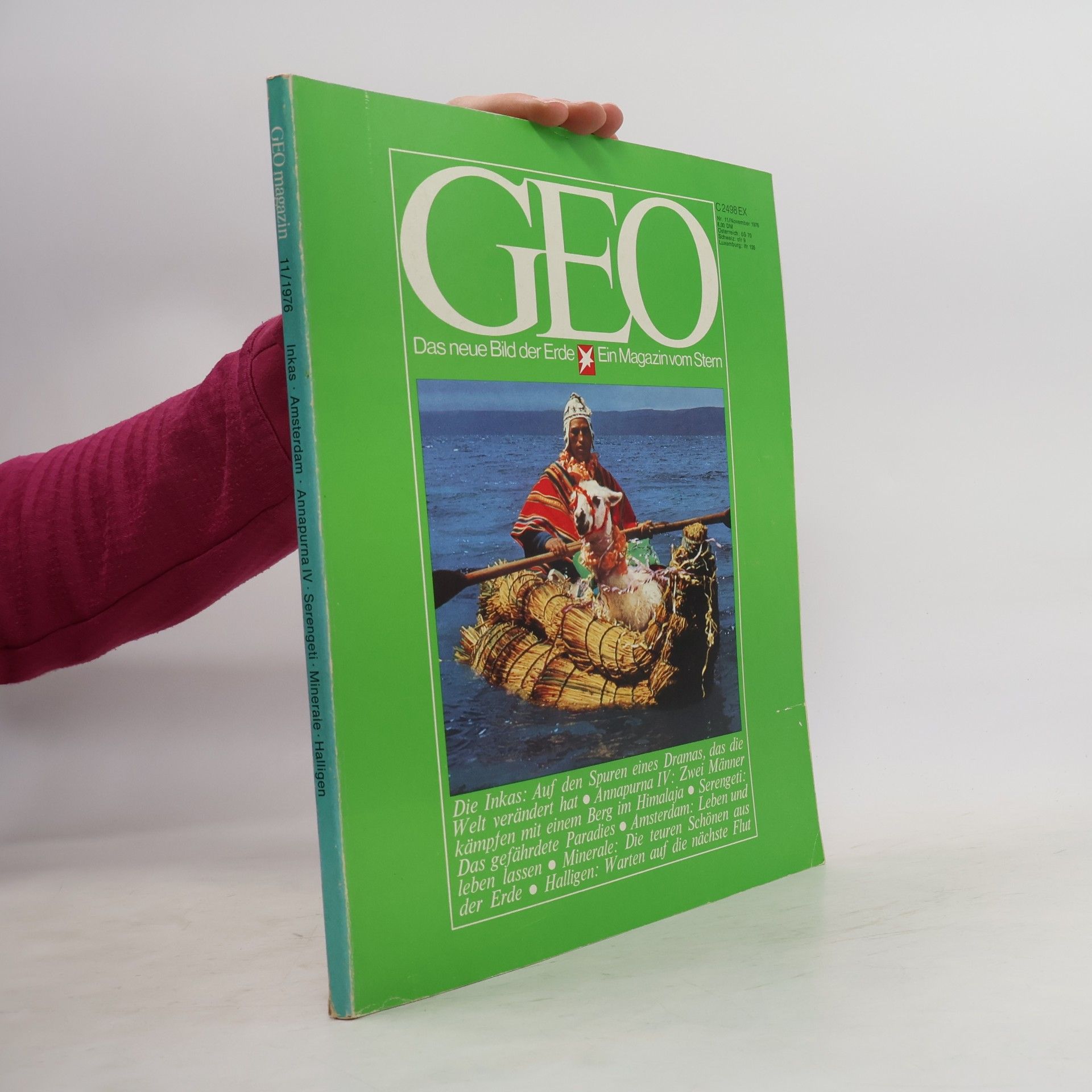 GEO 11