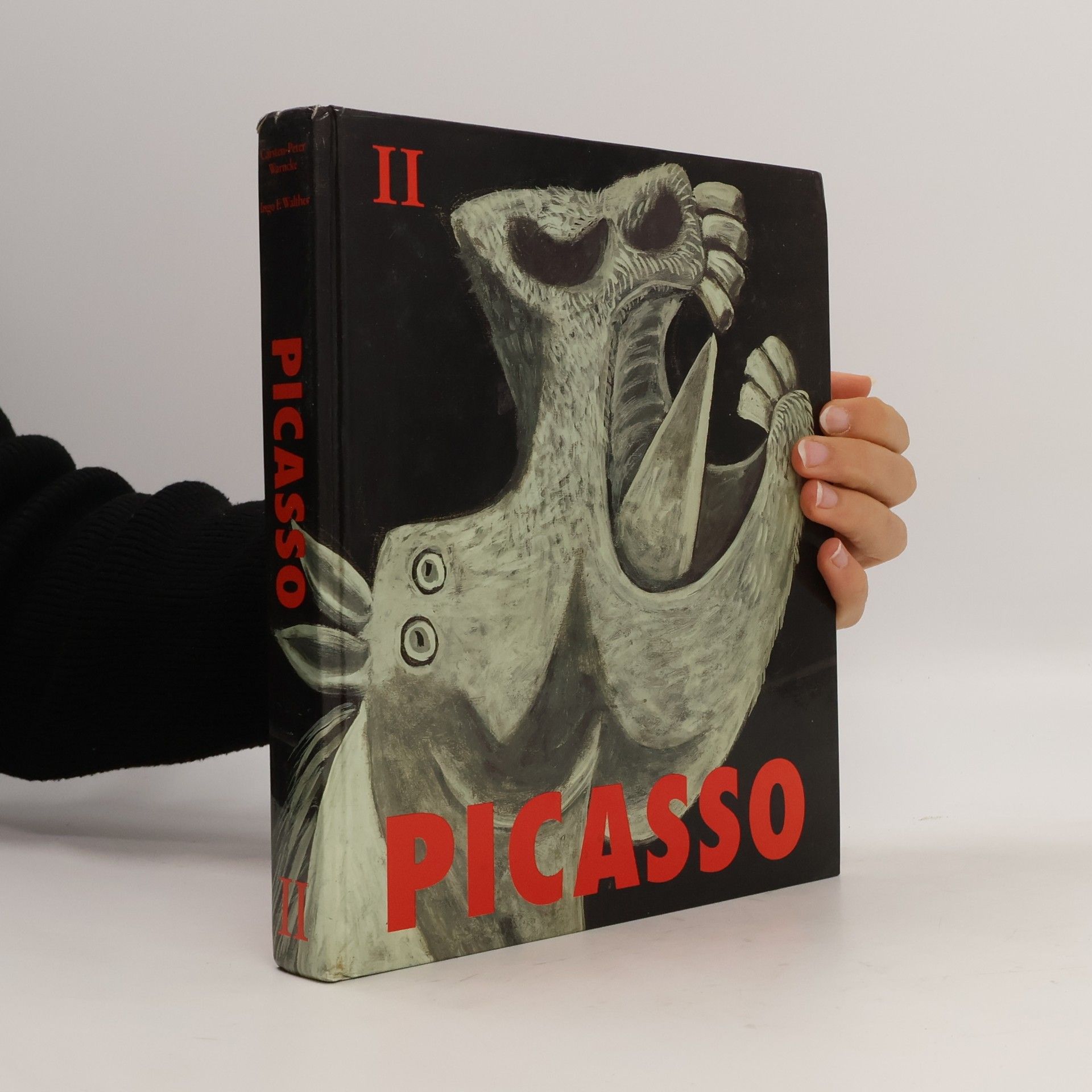 Picasso II