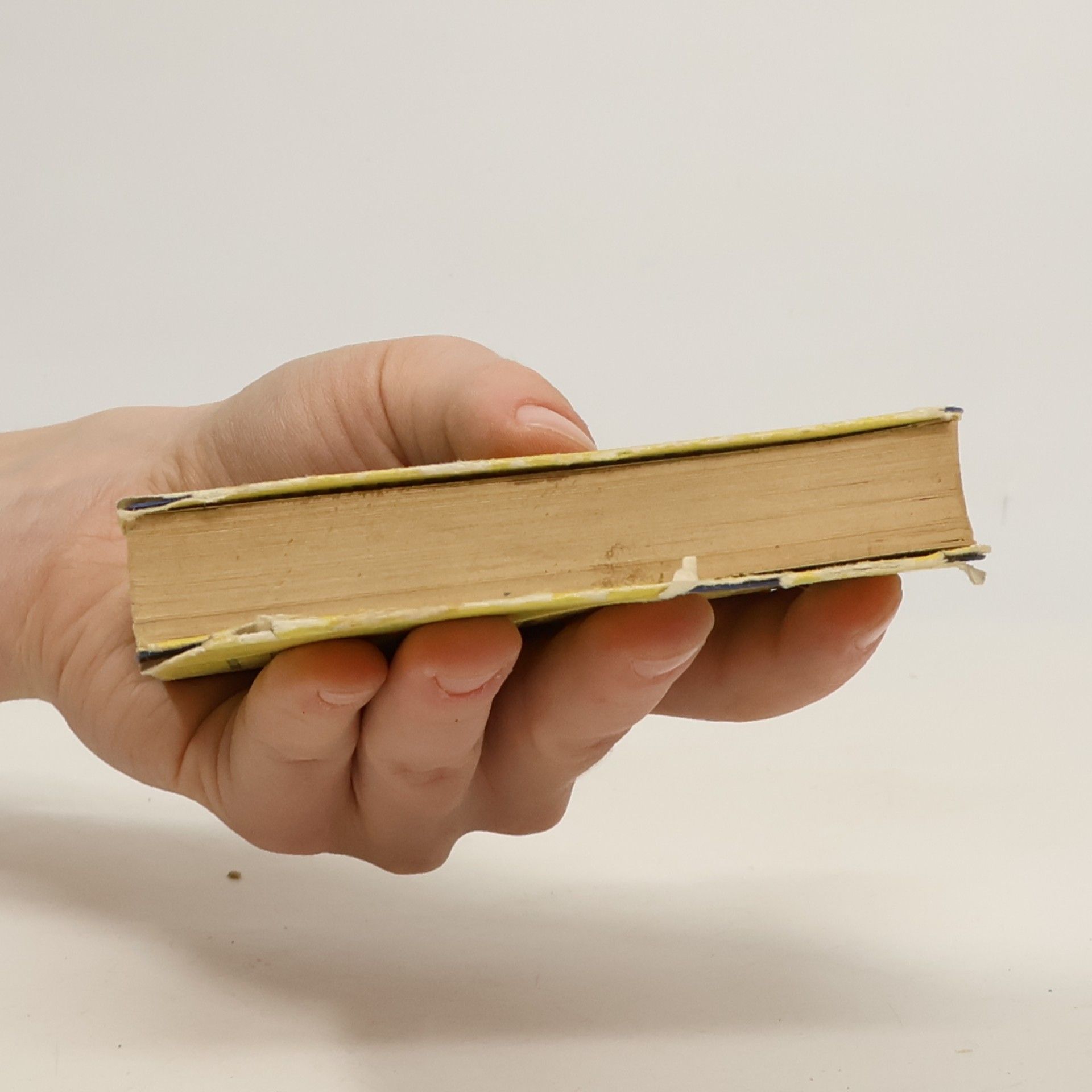 Various authors Langenscheidts Universal-Wörterbuch
