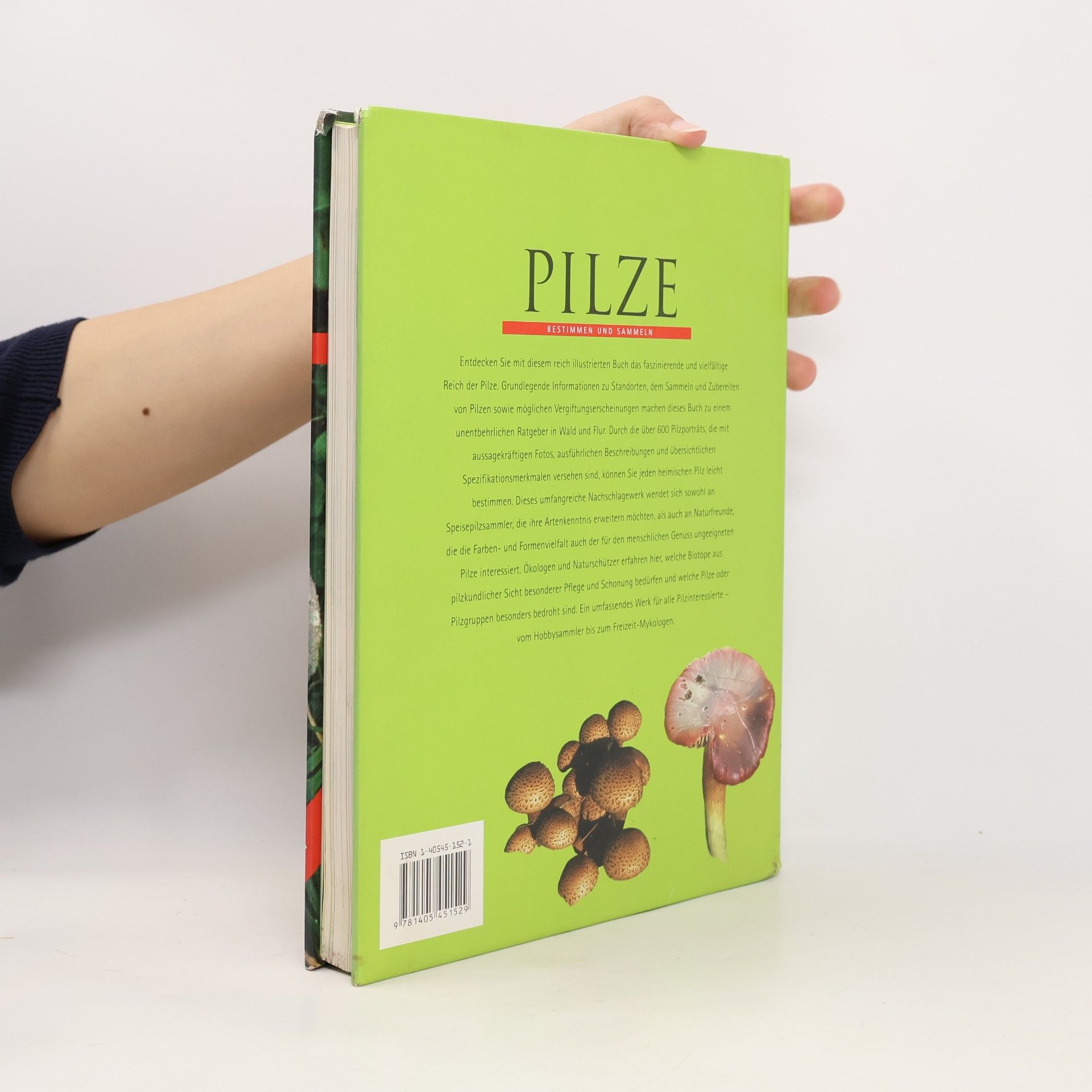 Till R. Lohmeyer Pilze