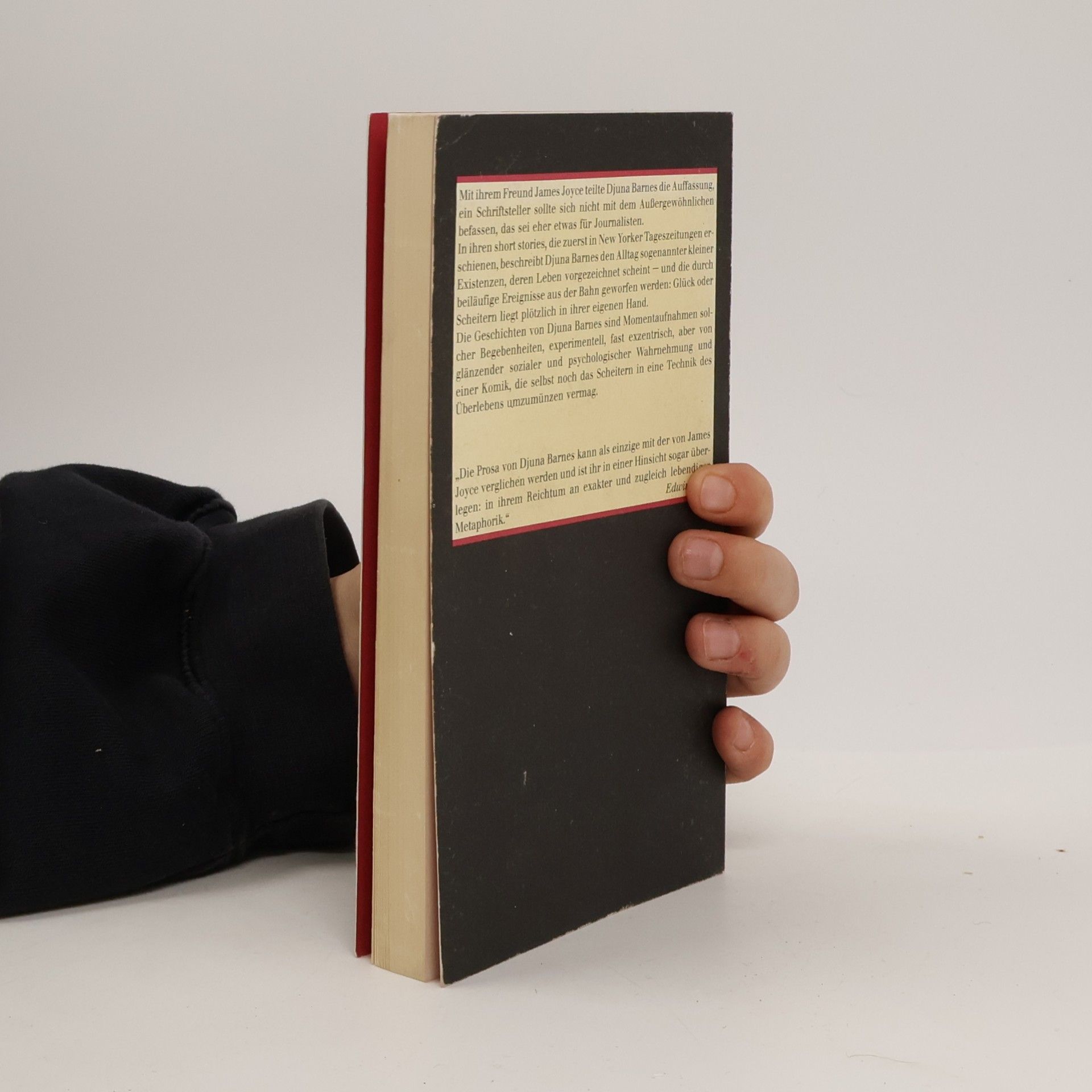 Djuna Barnes Die Nacht in den Wäldern