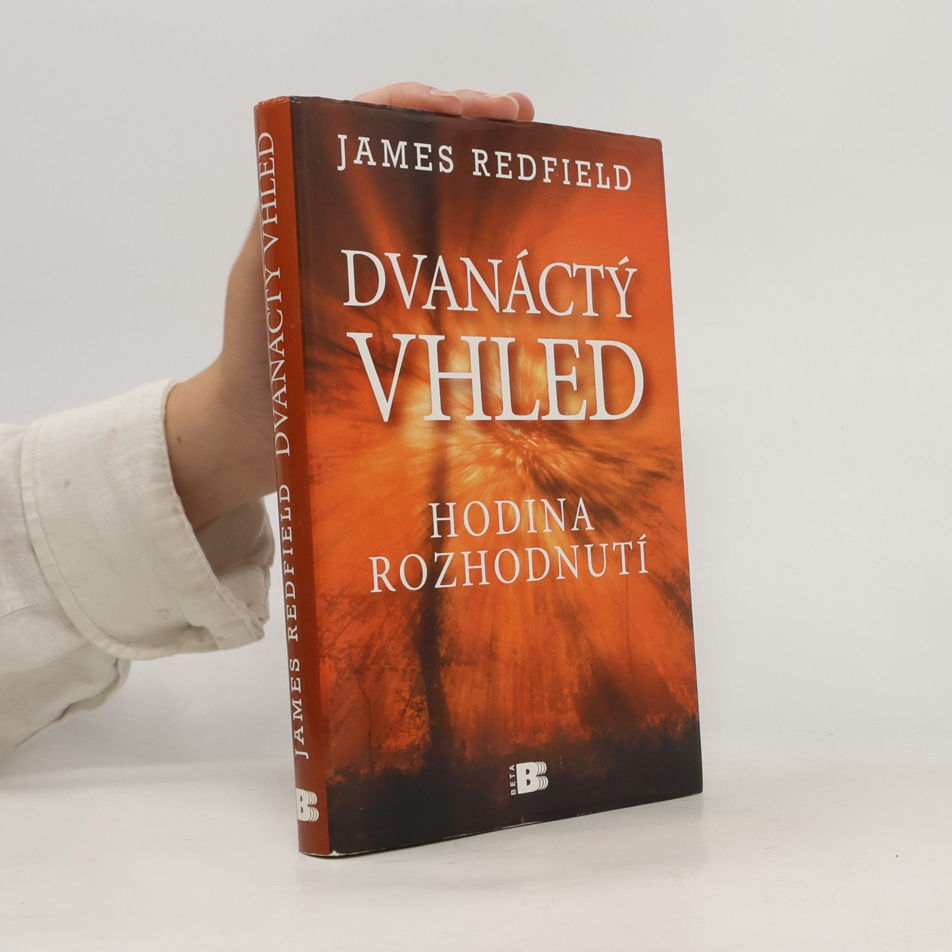 Dvanáctý vhled