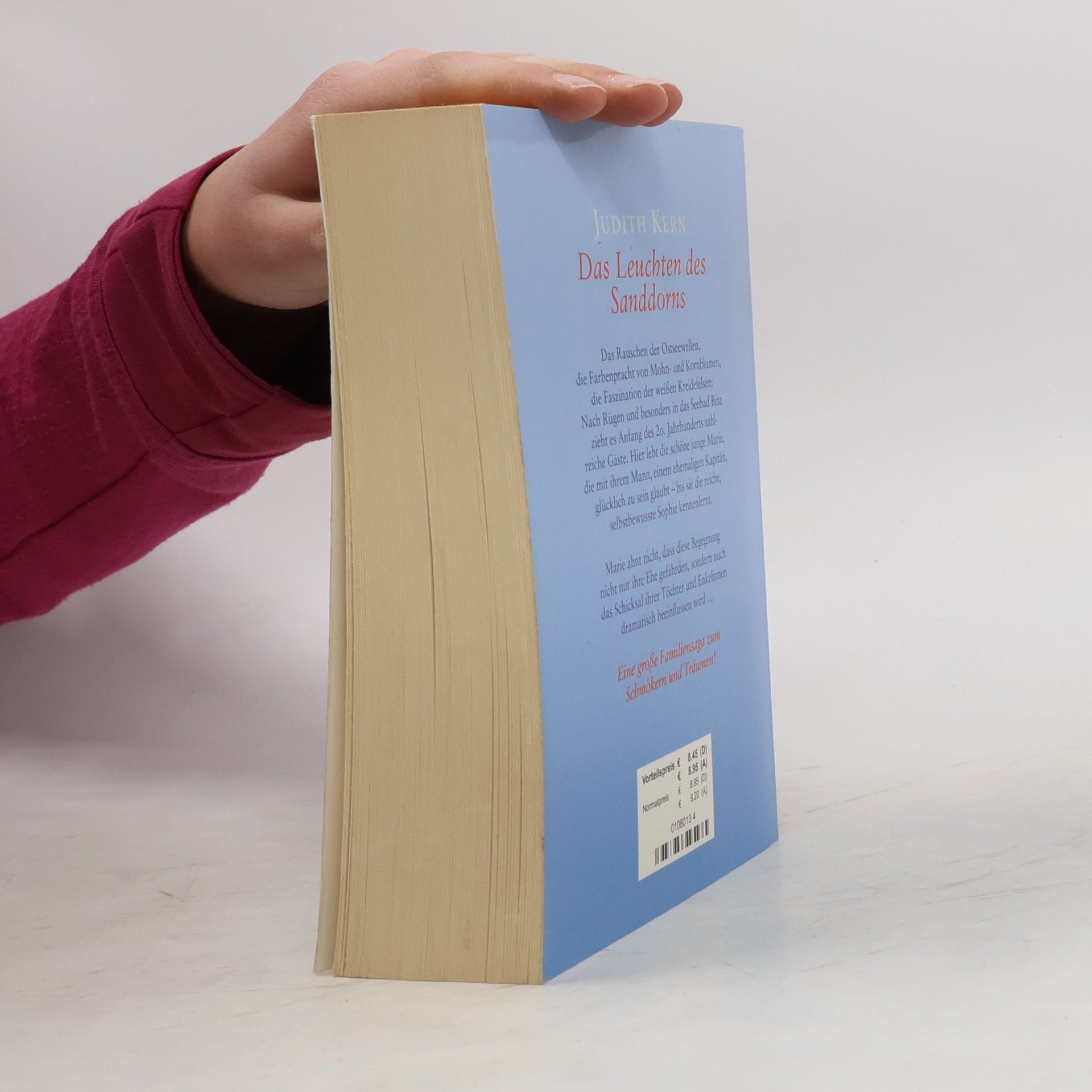Judith Kern Das Leuchten des Sanddorns