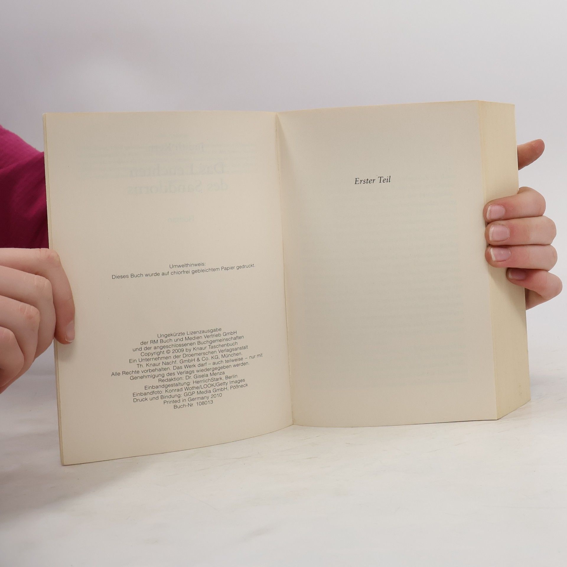 Judith Kern Das Leuchten des Sanddorns