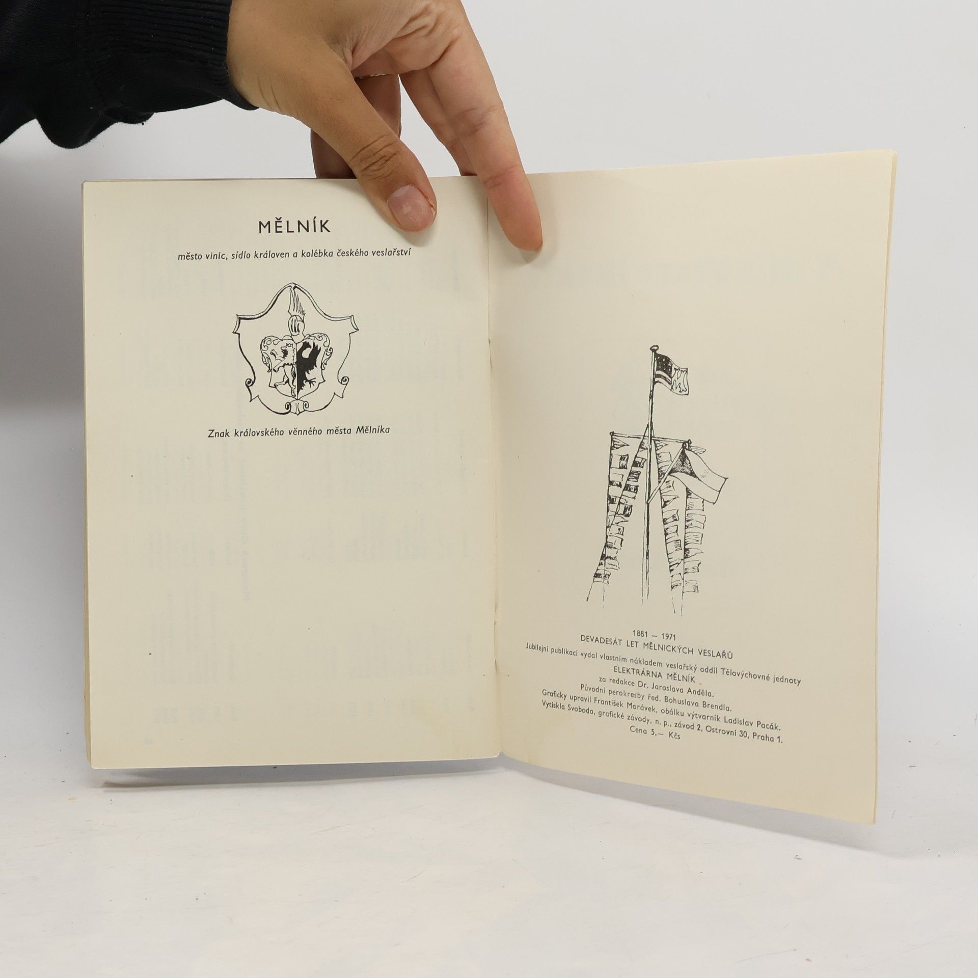 Various authors 90 let mělnických veslařů