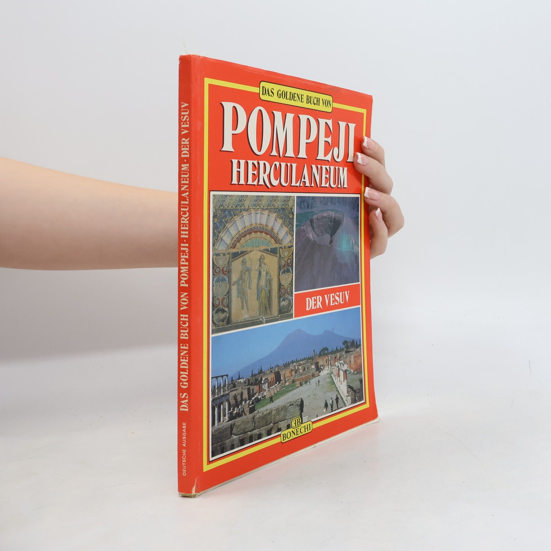 Pompeji, Herculaneum, der Vesuv