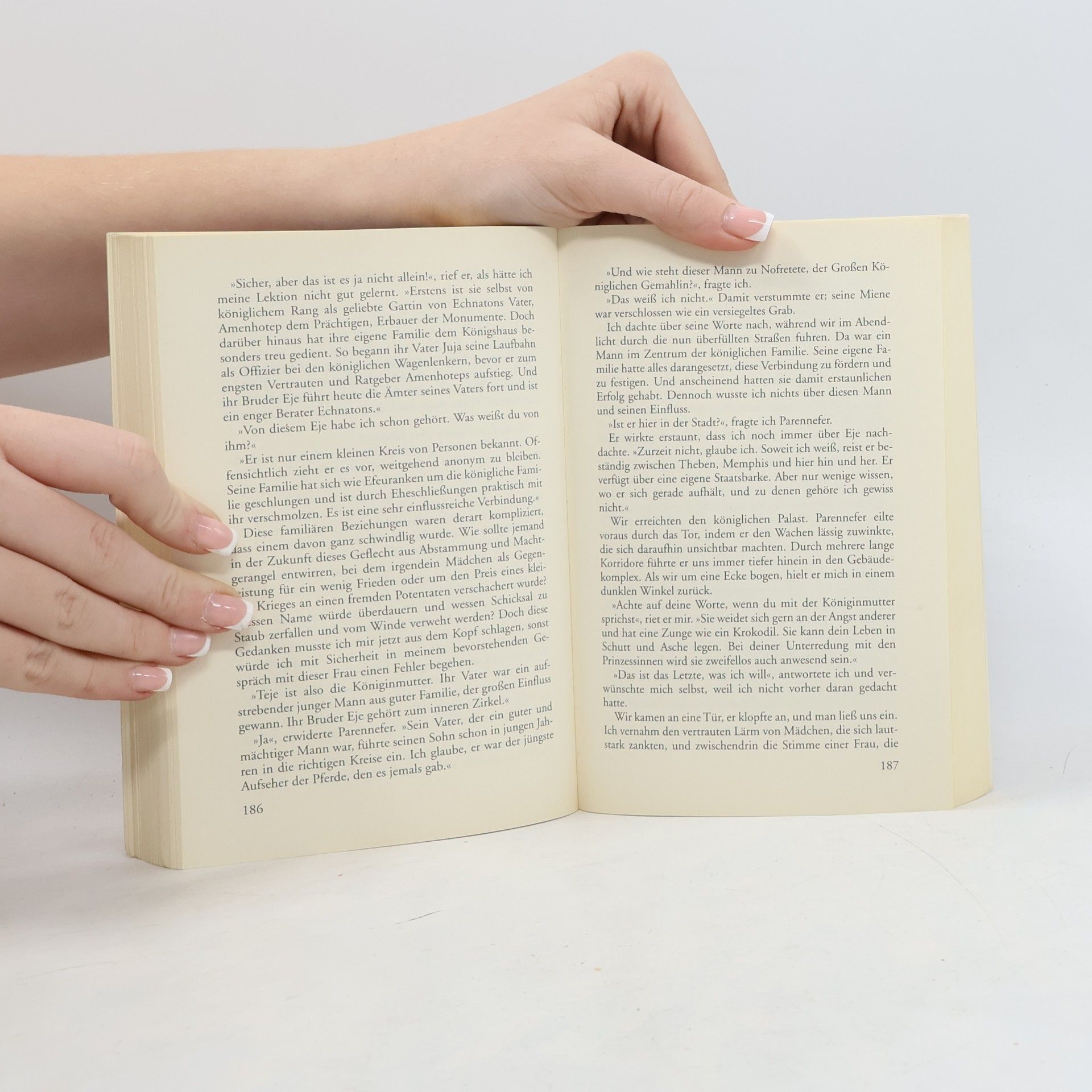 Nick Drake Das Totenbuch