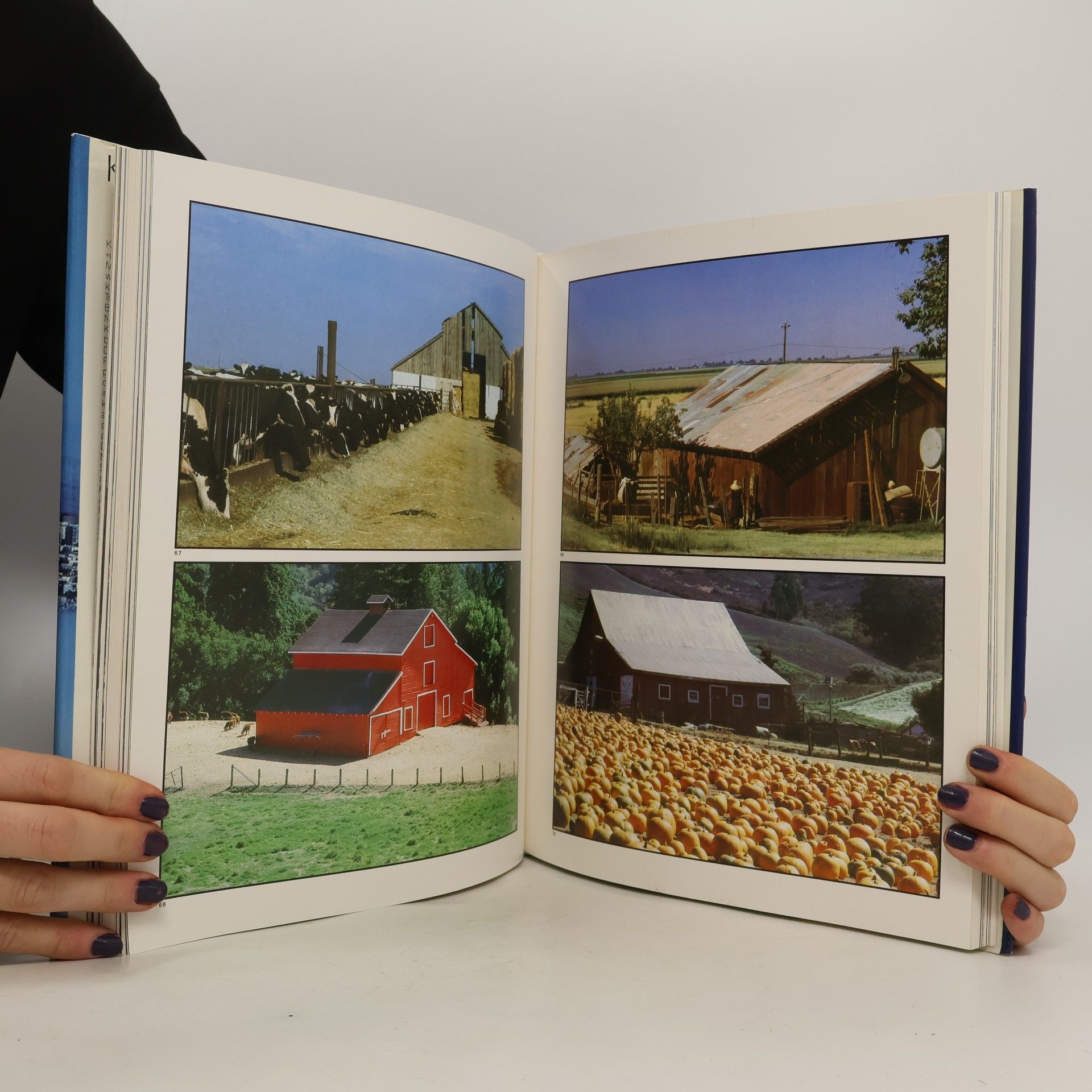 Collectif d'auteurs Kalifornien