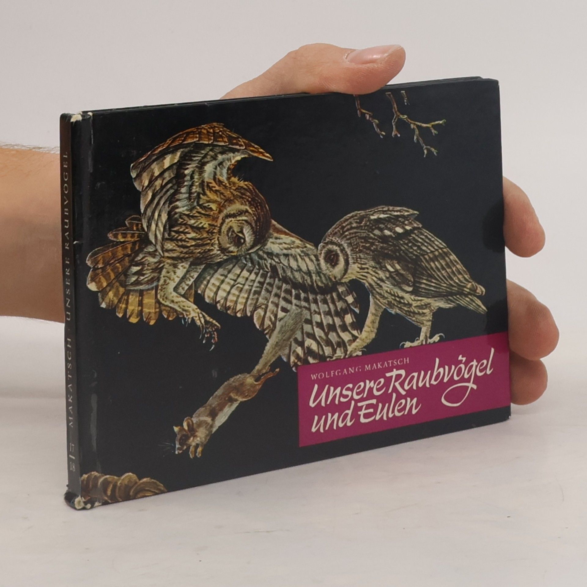 Unsere Raubvögel und Eulen