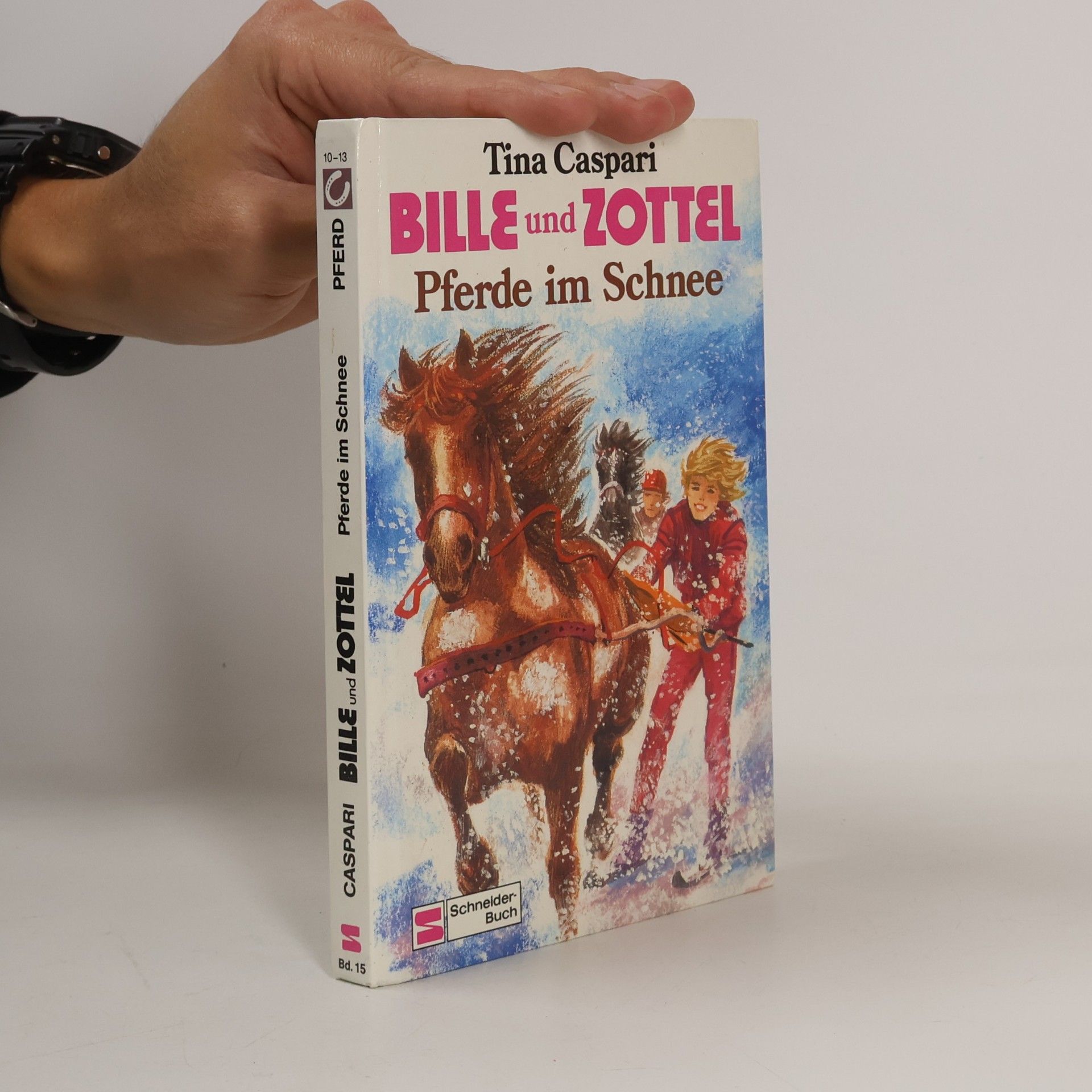 Bille & Zottel. Pferde im Schnee